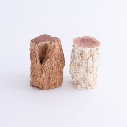 Petrified Wood Cut Bases Set of 10 - Expert Wholesale and Supplier of Wholesale Crystals & Bulk Gemstones, ["Cut Base","Petrified Wood"]