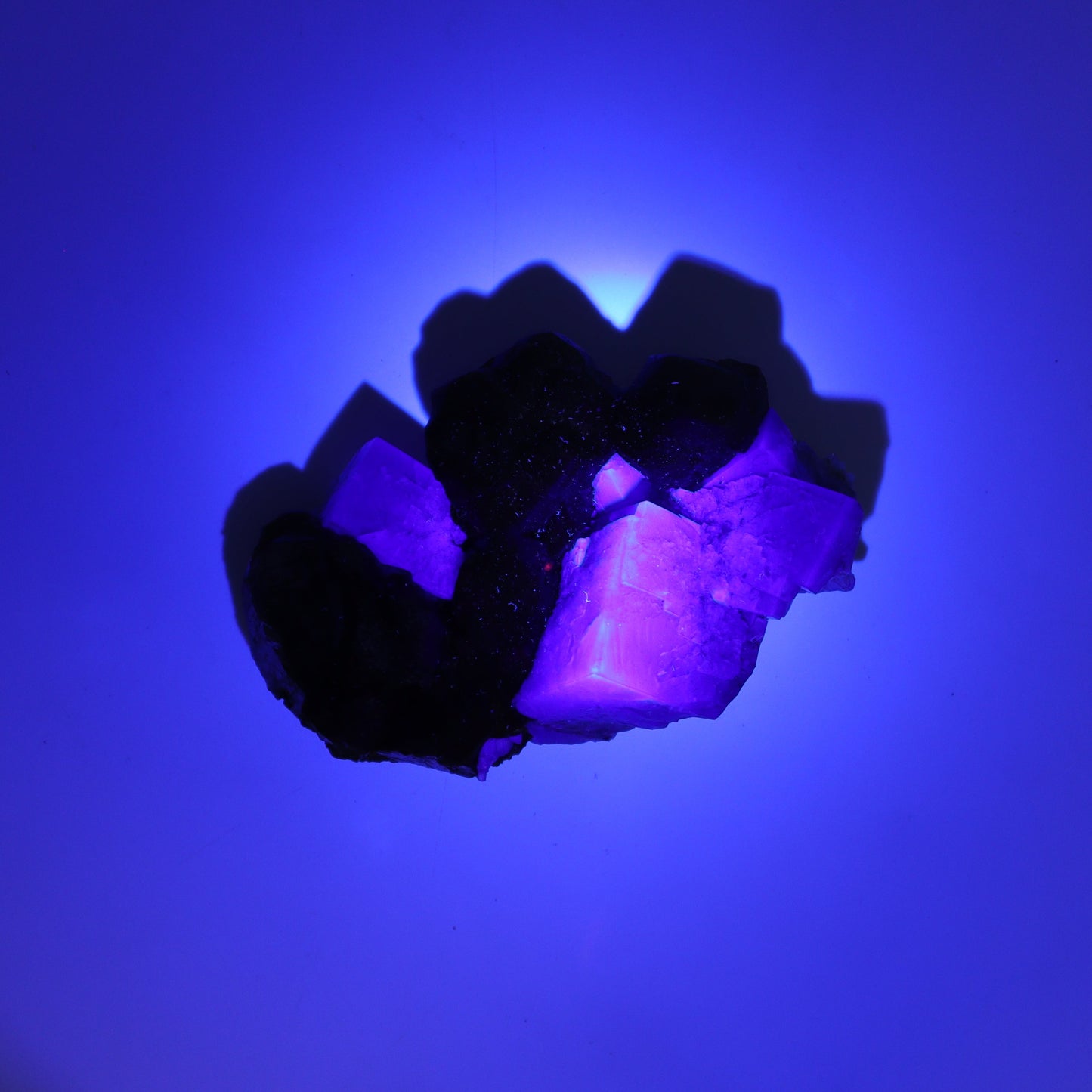 Fluorite Purple Rain Pocket Set of 8 - Expert Wholesale and Supplier of Wholesale Crystals & Bulk Gemstones, ["close_50","England","Fluorite","Purple Rain Pocket","Rough"]