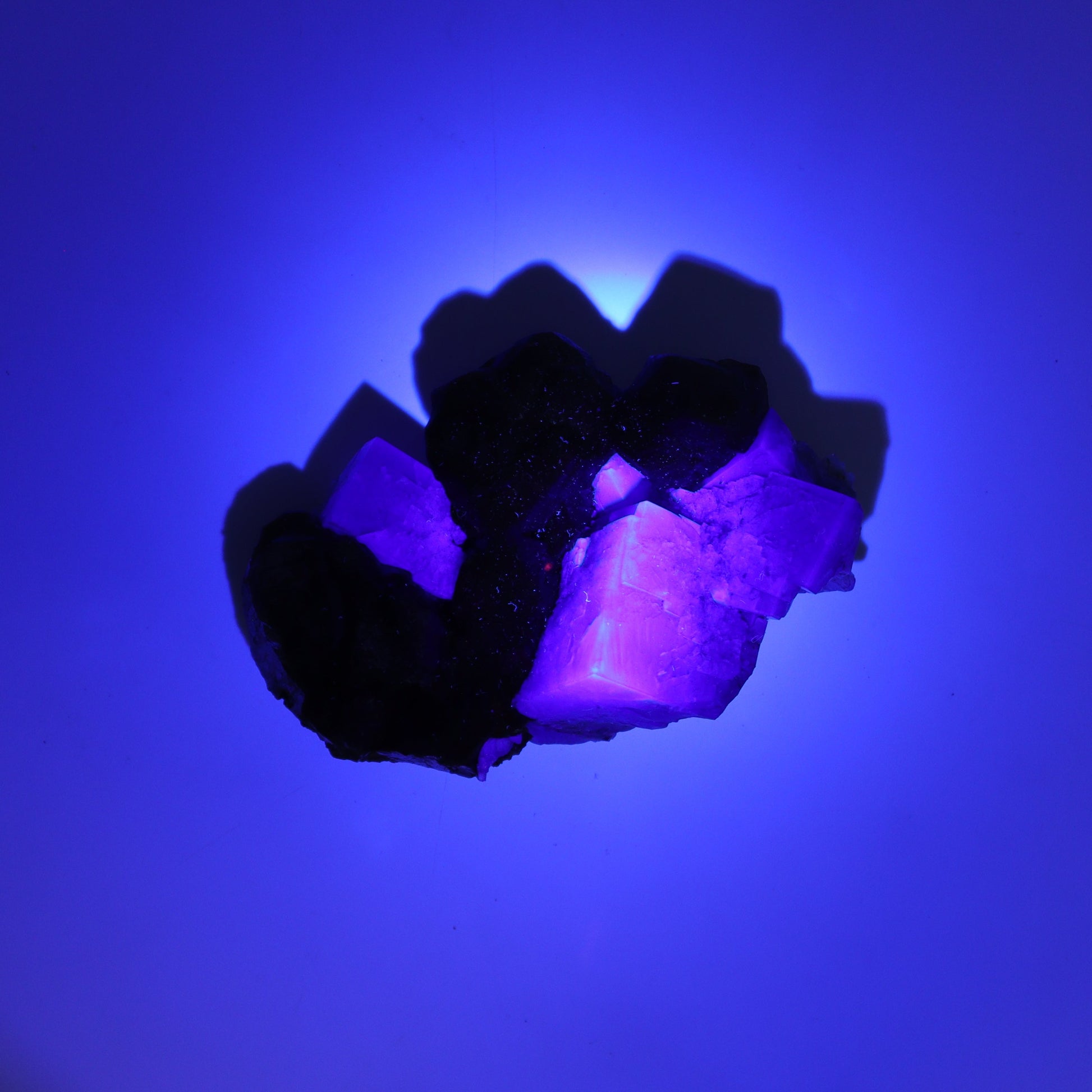 Fluorite Purple Rain Pocket Set of 8 - Expert Wholesale and Supplier of Wholesale Crystals & Bulk Gemstones, ["close_50","England","Fluorite","Purple Rain Pocket","Rough"]