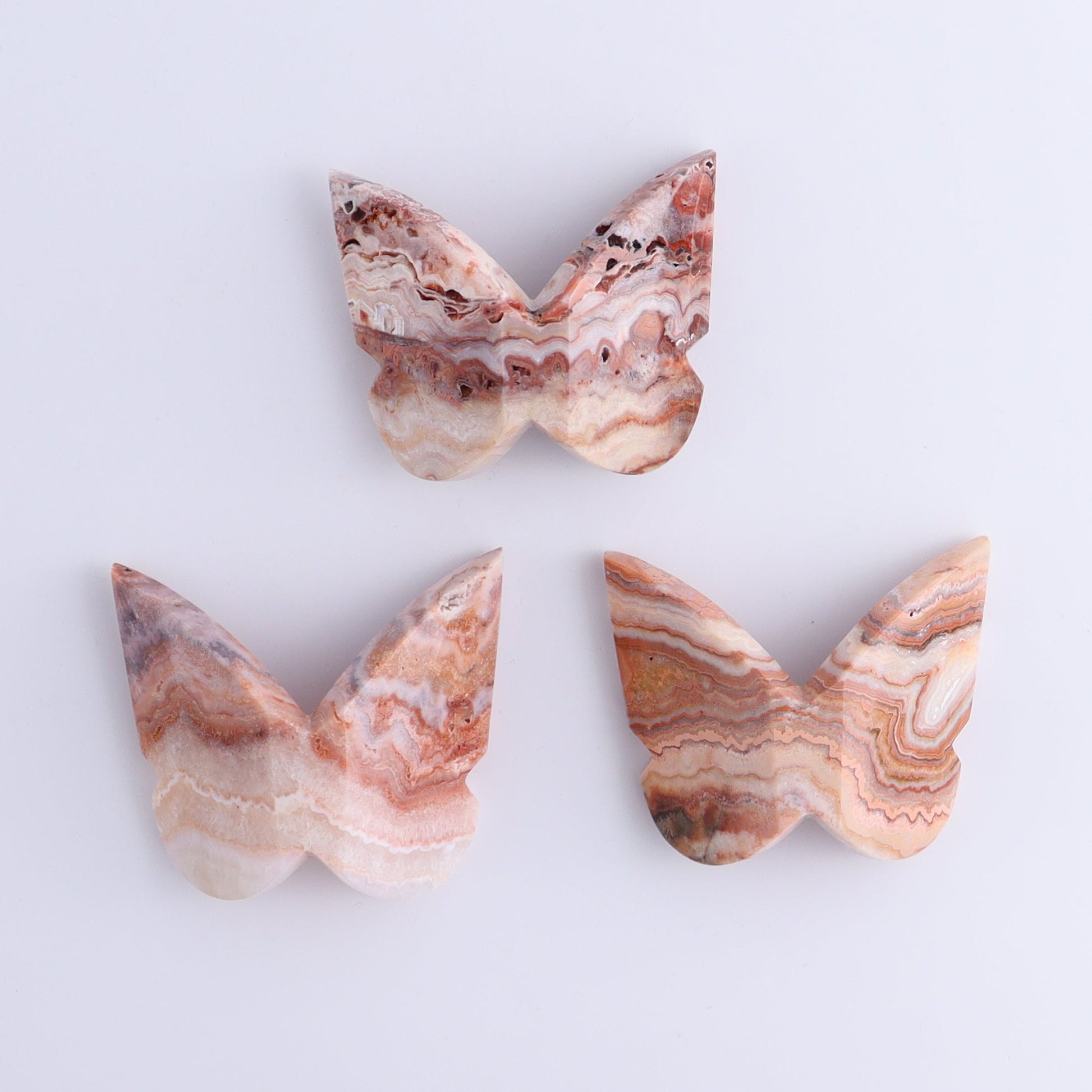 One Crazy Lace Agate Butterfly - Expert Wholesale and Supplier of Wholesale Crystals & Bulk Gemstones, ["Agate","Butterflies","Butterfly","Crazy Lace Agate"]