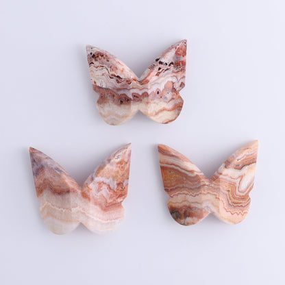 One Crazy Lace Agate Butterfly - Expert Wholesale and Supplier of Wholesale Crystals & Bulk Gemstones, ["Agate","Butterflies","Butterfly","Crazy Lace Agate"]