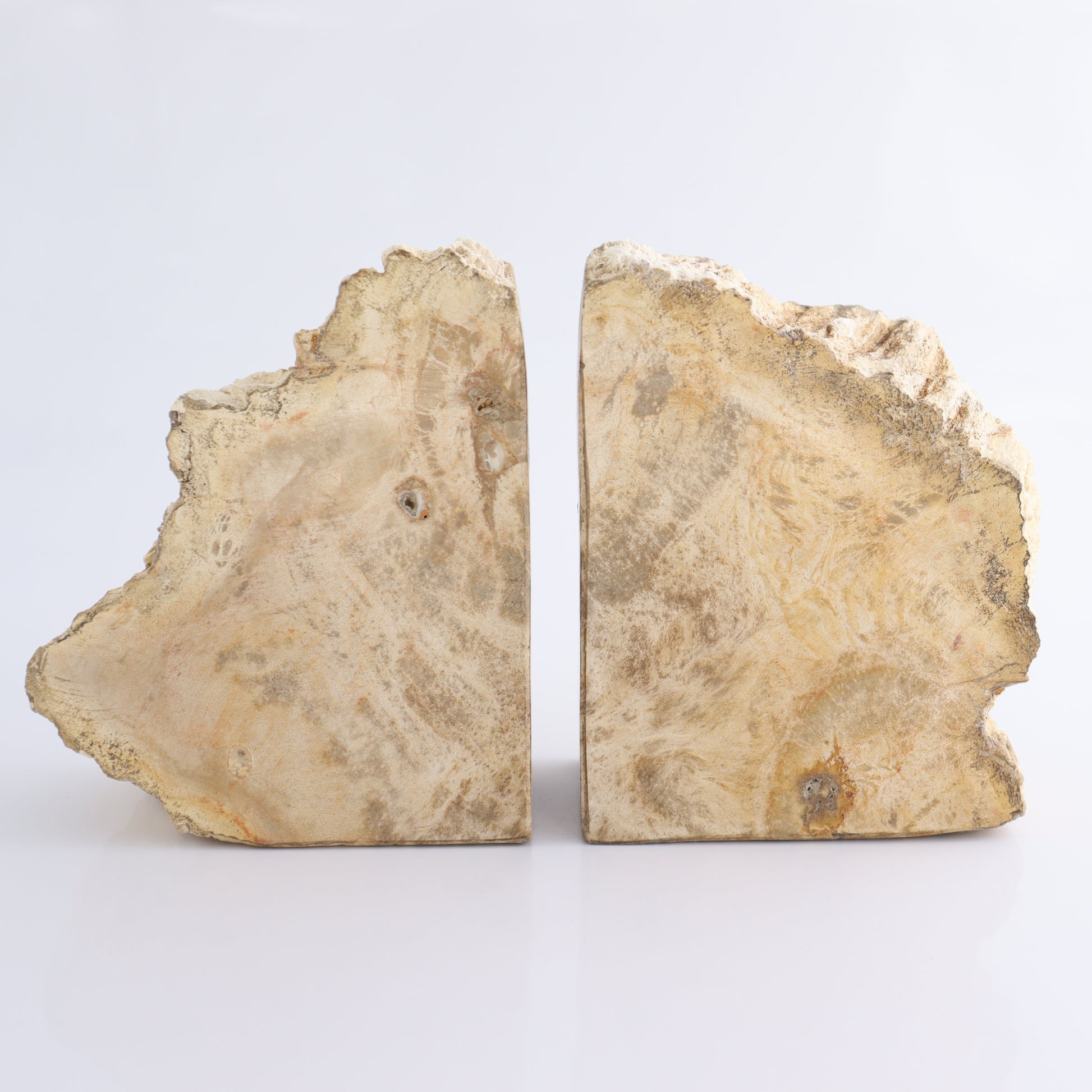 Bookends Petrified Wood - Expert Wholesale and Supplier of Wholesale Crystals & Bulk Gemstones, ["Bookends","Indonesia","Petrified Wood"]