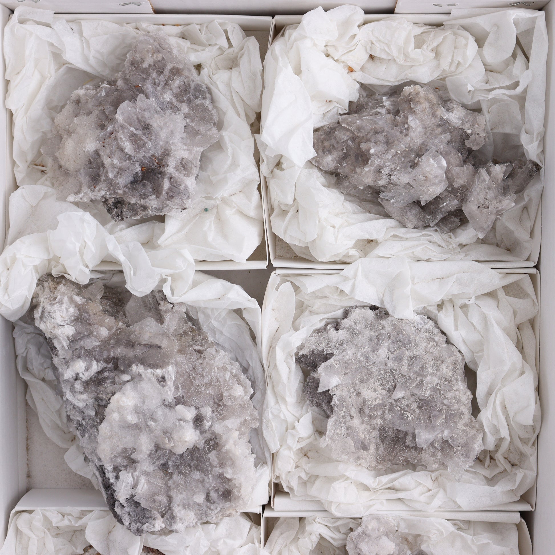 Selenite Clusters from Mexico Set of 6 - Expert Wholesale and Supplier of Wholesale Crystals & Bulk Gemstones, ["close_70","Clusters","Mexico","selenite"]