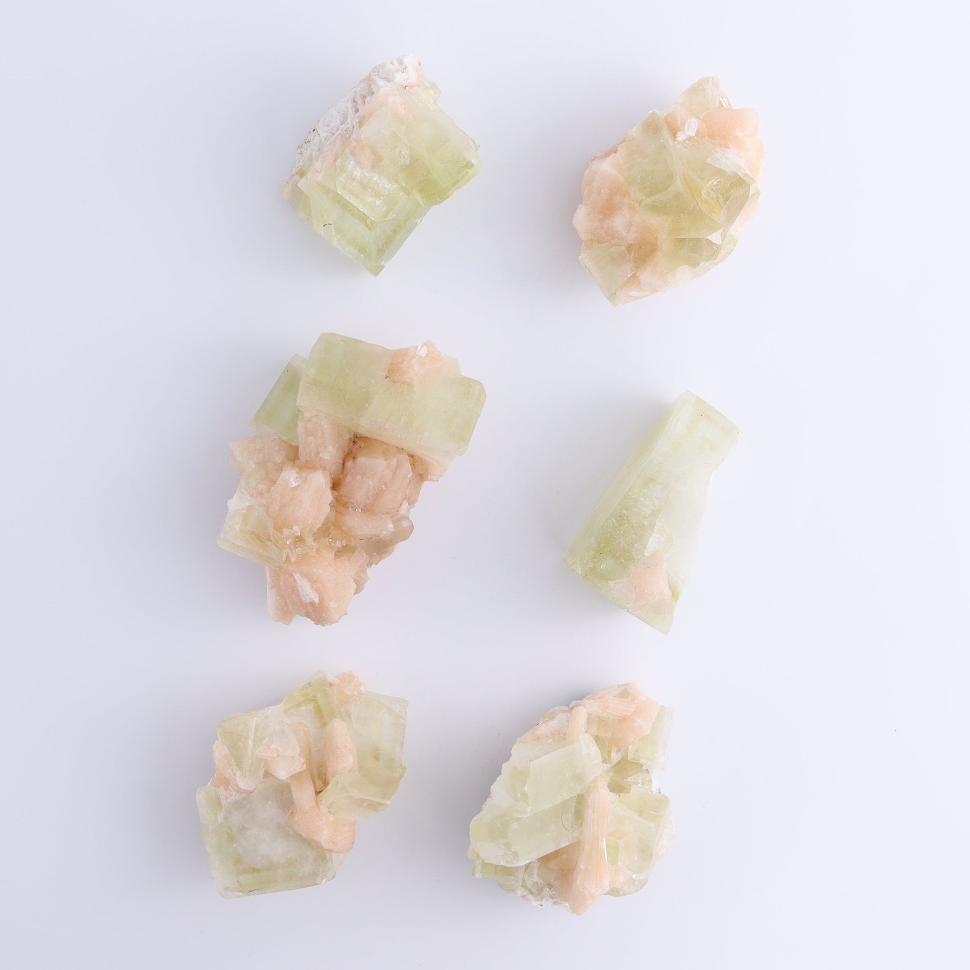 Apophyllite Clusters Flat of 6 - Expert Wholesale and Supplier of Wholesale Crystals & Bulk Gemstones, ["Apophyllite","Clusters","Flats"]