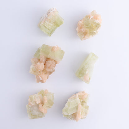 Apophyllite Clusters Flat of 6 - Expert Wholesale and Supplier of Wholesale Crystals & Bulk Gemstones, ["Apophyllite","Clusters","Flats"]