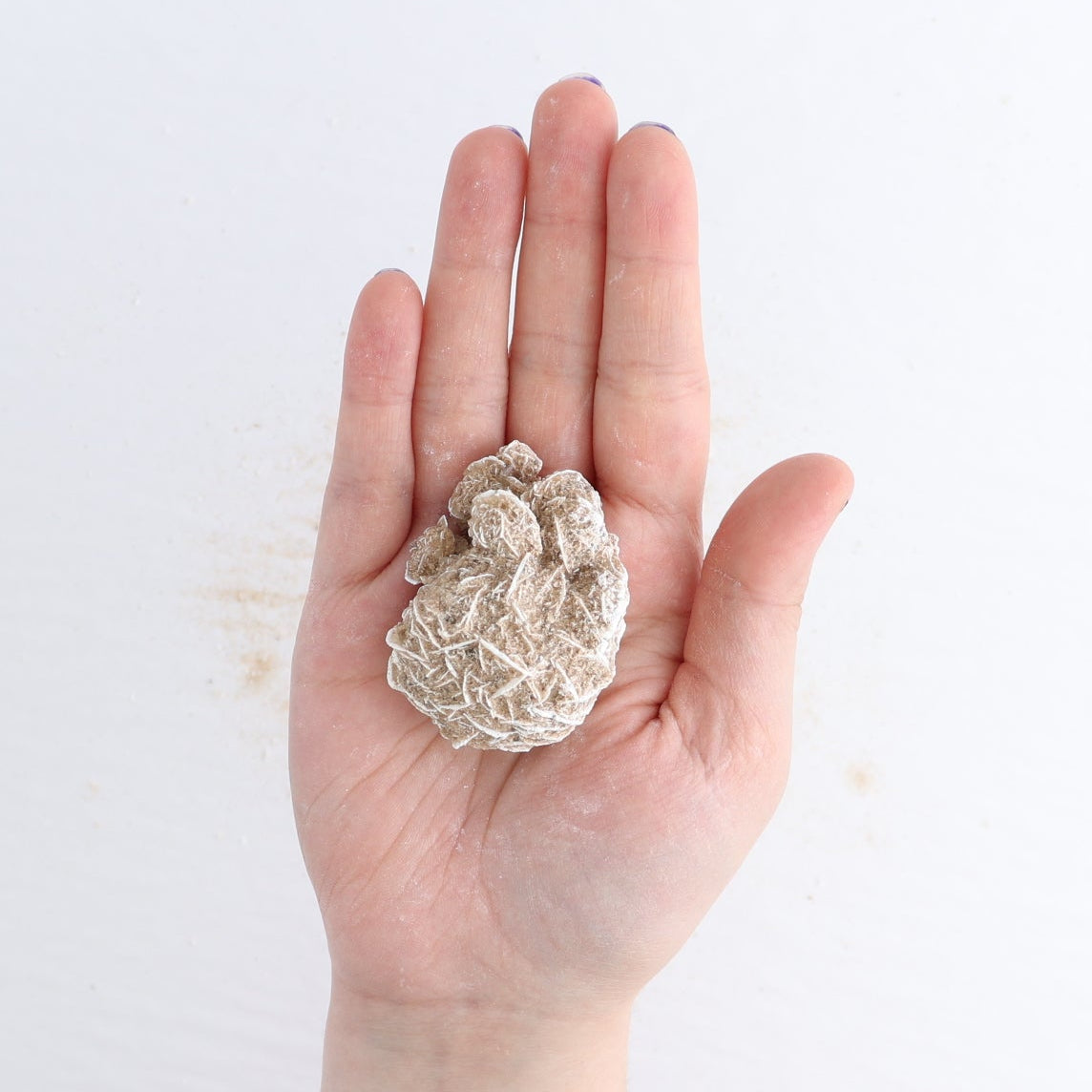 Desert Rose Set of 3
