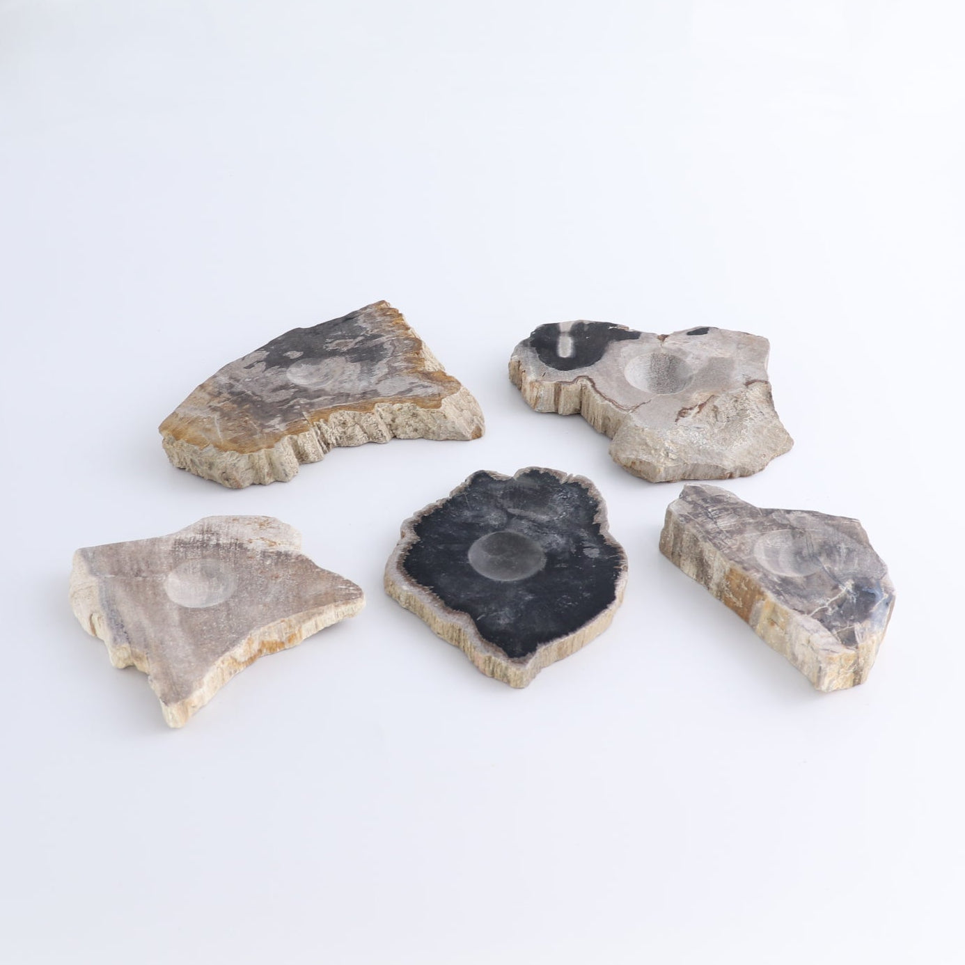 One Petrified Wood Sphere Holder