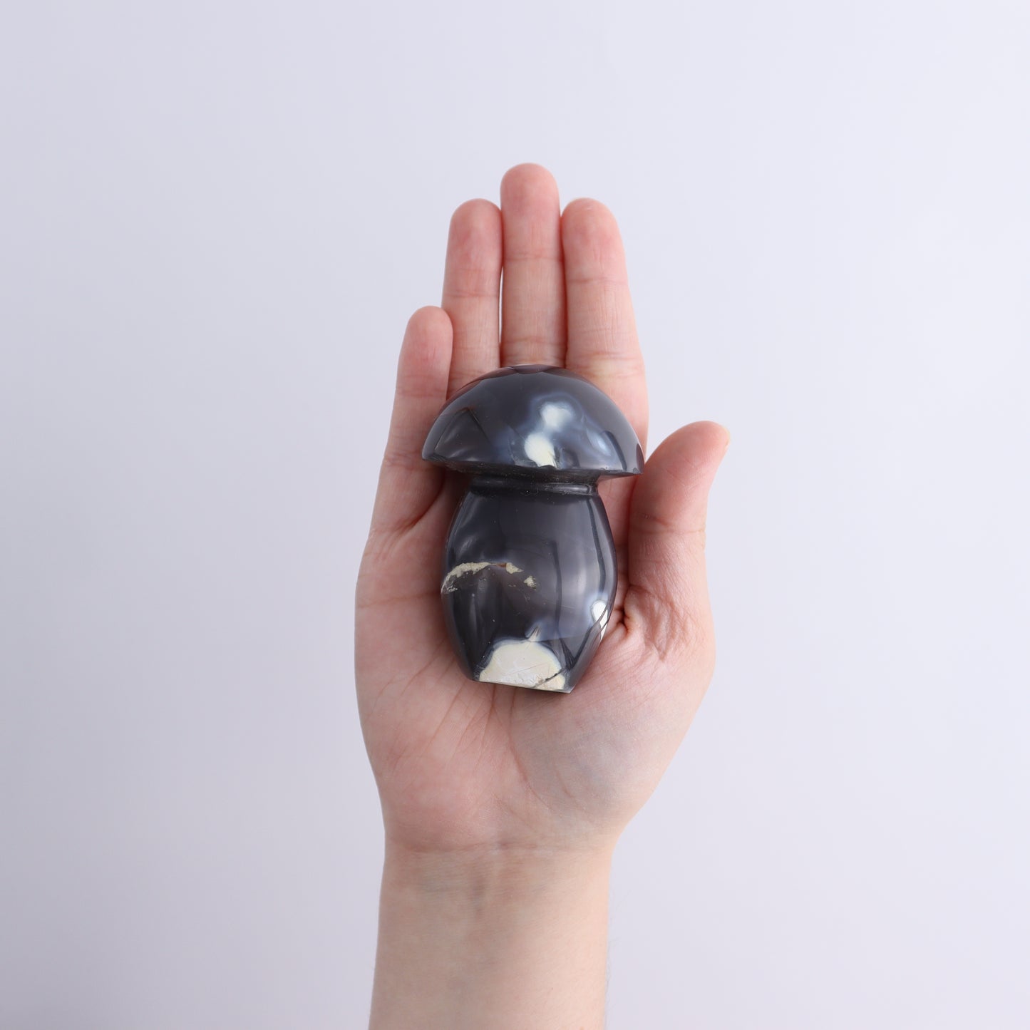 Agate Mushrooms Set of 6 - Expert Wholesale and Supplier of Wholesale Crystals & Bulk Gemstones, ["Agate","Madagascar","Mushrooms"]