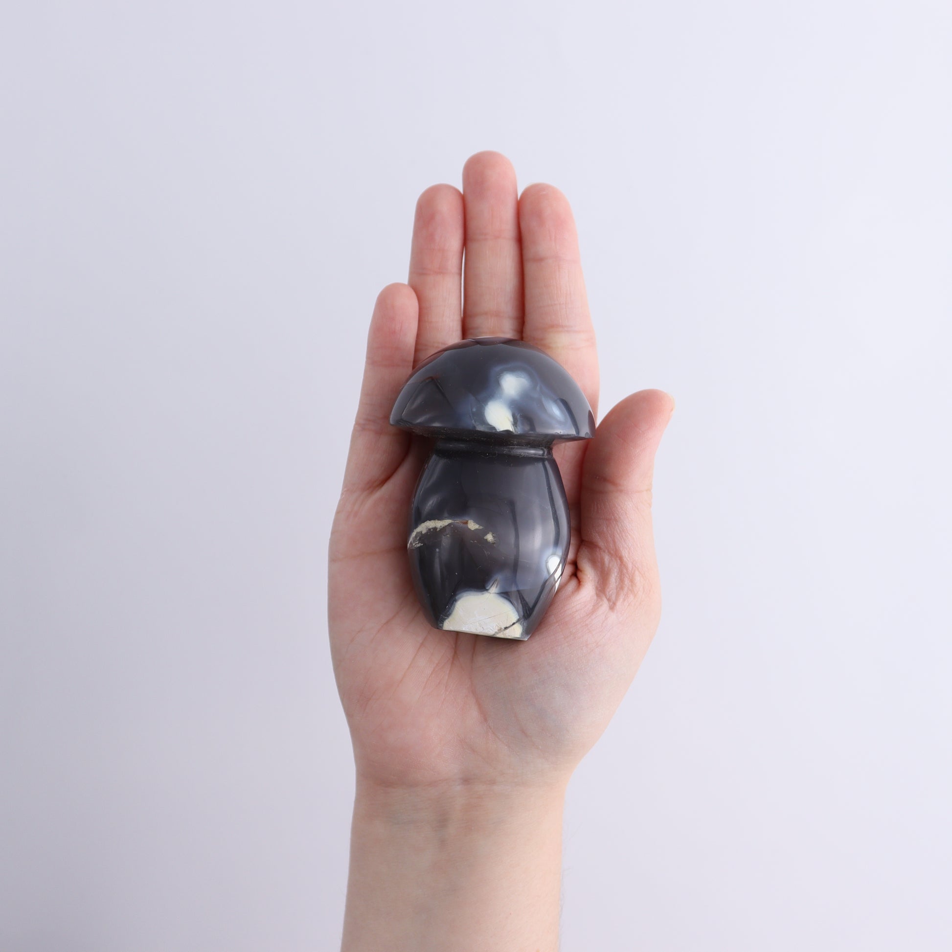 Agate Mushrooms Set of 6 - Expert Wholesale and Supplier of Wholesale Crystals & Bulk Gemstones, ["Agate","Madagascar","Mushrooms"]