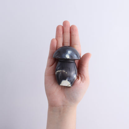 Agate Mushrooms Set of 6 - Expert Wholesale and Supplier of Wholesale Crystals & Bulk Gemstones, ["Agate","Madagascar","Mushrooms"]