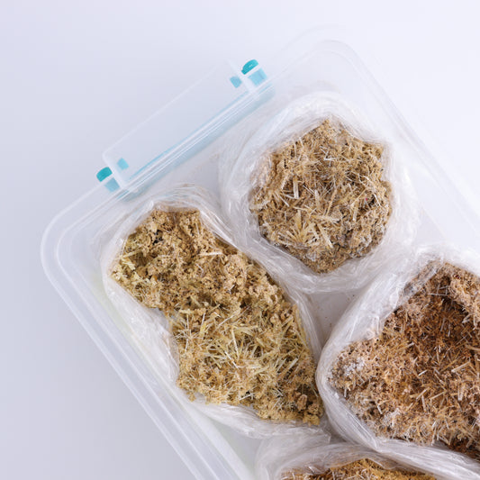 Selenite Gypsum from Morocco Flat