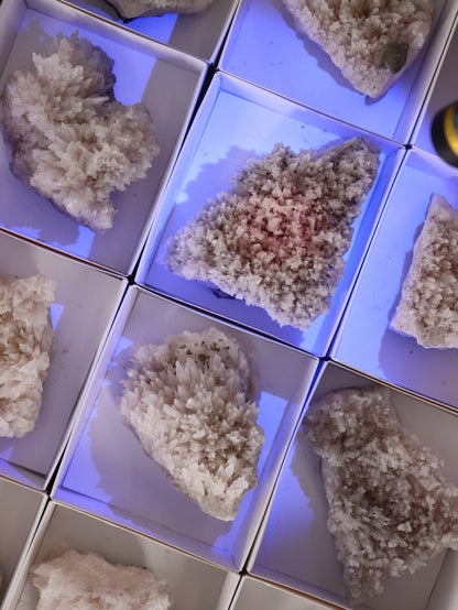 Mangano Calcite Flat Set of 12 - Expert Wholesale and Supplier of Wholesale Crystals & Bulk Gemstones, []