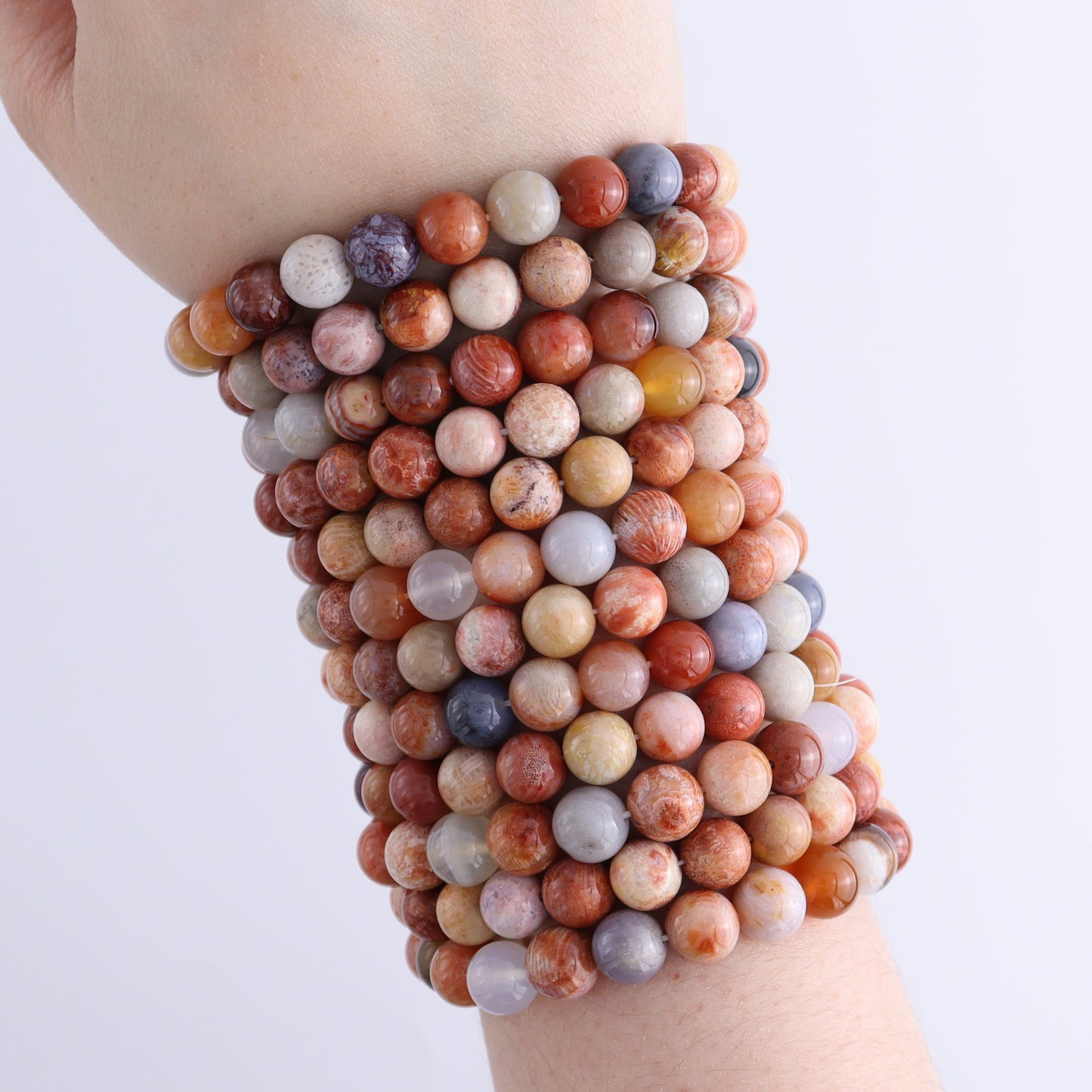 One Fossilized Coral Bracelet