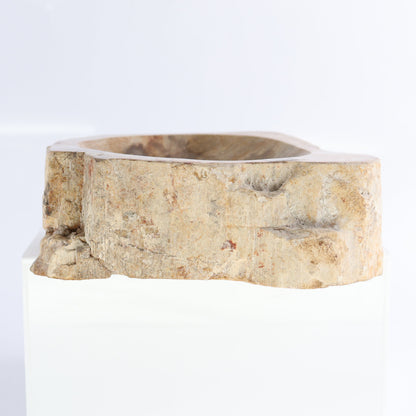 Petrified Wood Bowls Set of 2