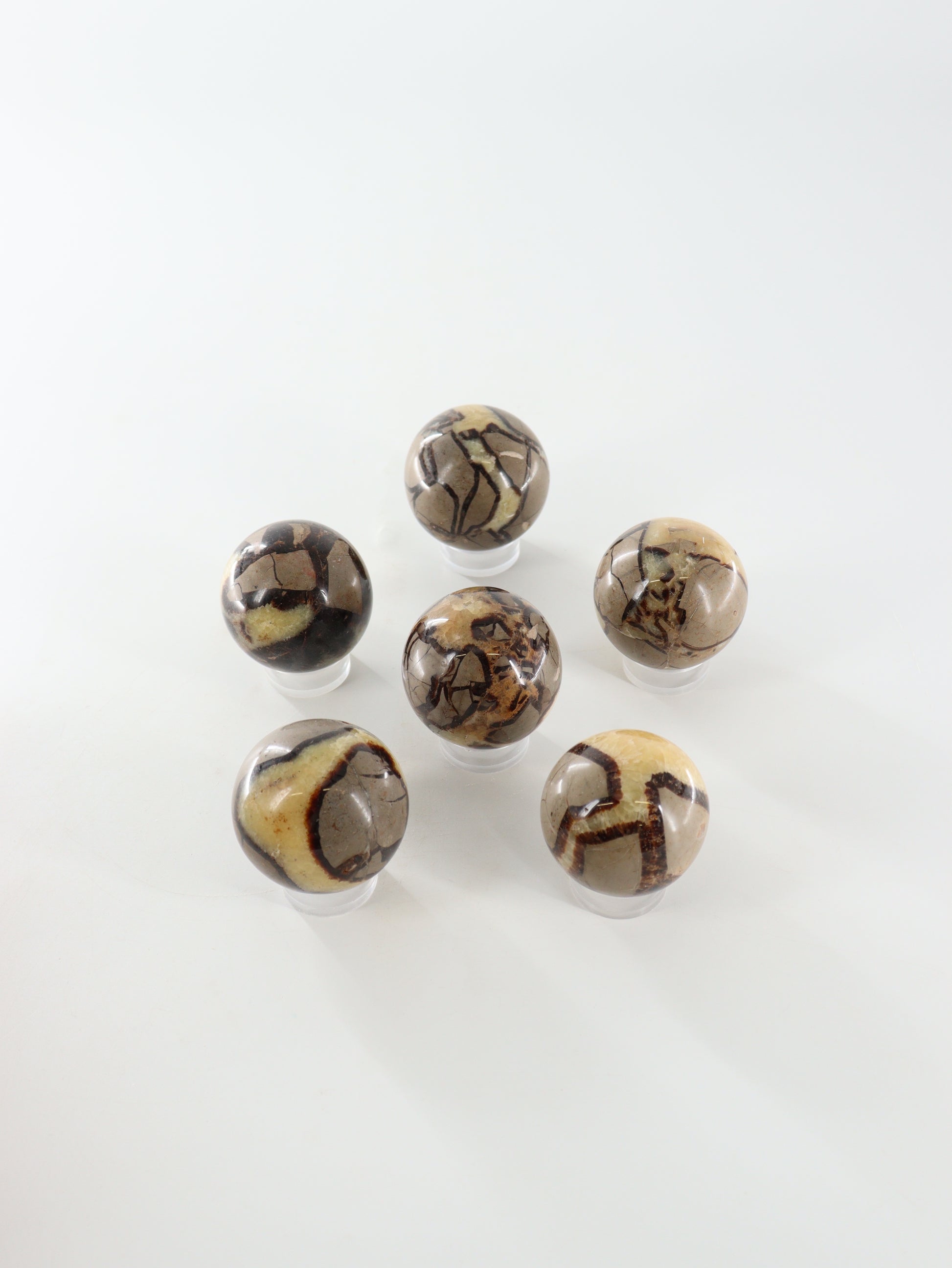 Septarian Spheres Set of 6 - Expert Supplier of Wholesale Crystals & Bulk Gemstones