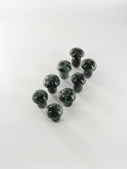 Kambaba Jasper Set of 8 - Expert Wholesale and Supplier of Wholesale Crystals & Bulk Gemstones, []