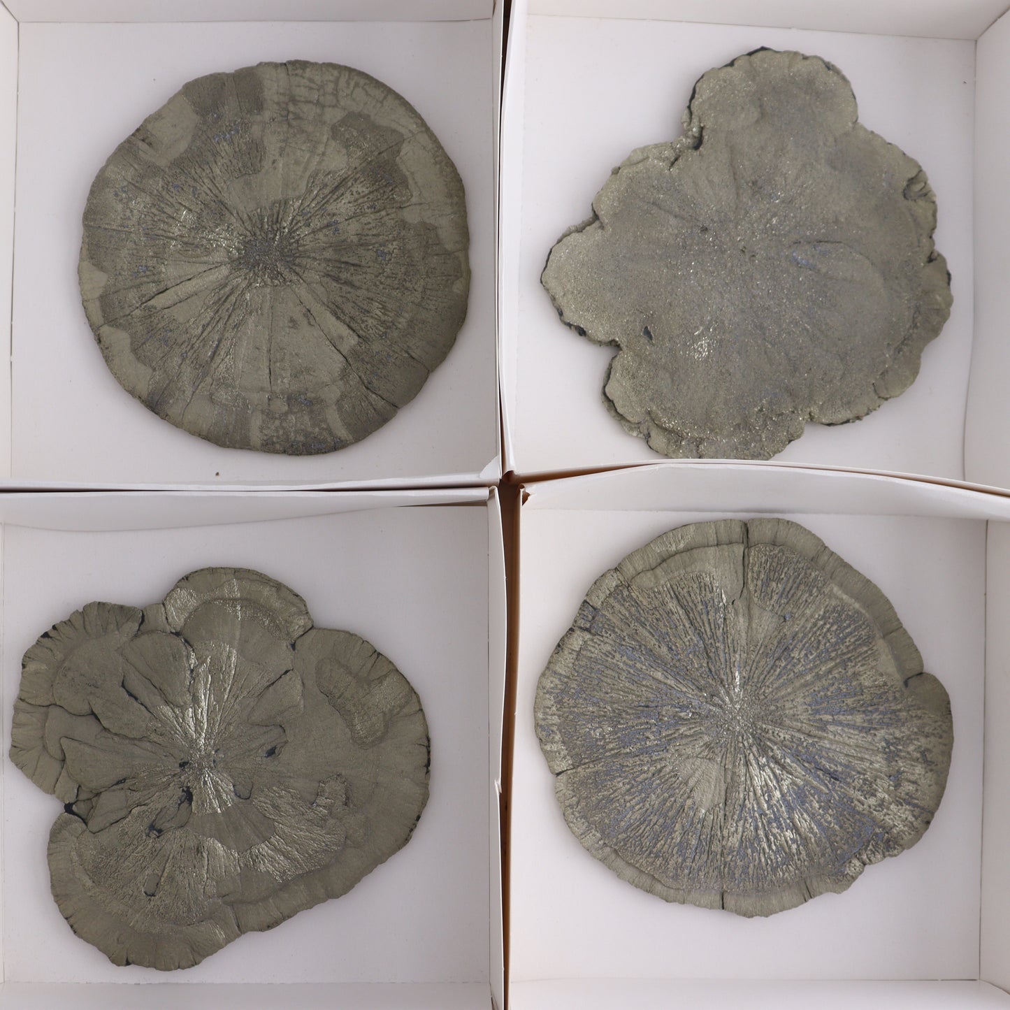 Pyrite Suns Flat of 6 - Expert Wholesale and Supplier of Wholesale Crystals & Bulk Gemstones, ["Pyrite","Suns","United States"]