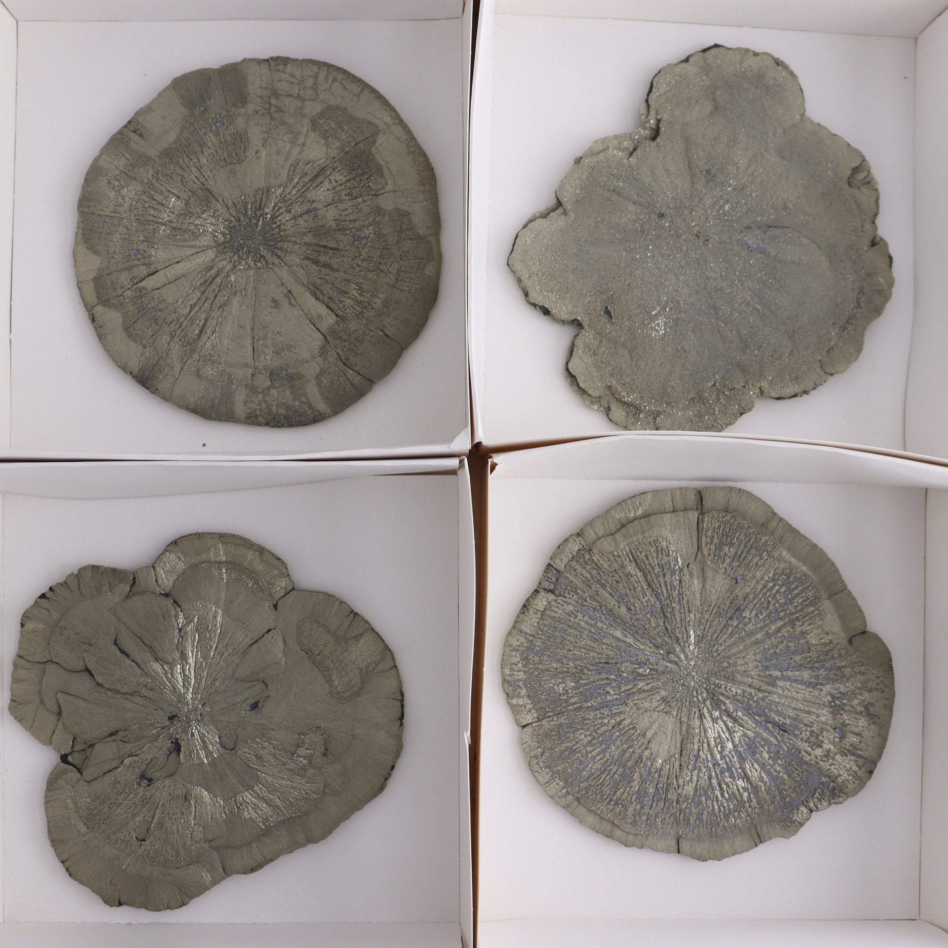 Pyrite Suns Flat of 6 - Expert Wholesale and Supplier of Wholesale Crystals & Bulk Gemstones, ["Pyrite","Suns","United States"]