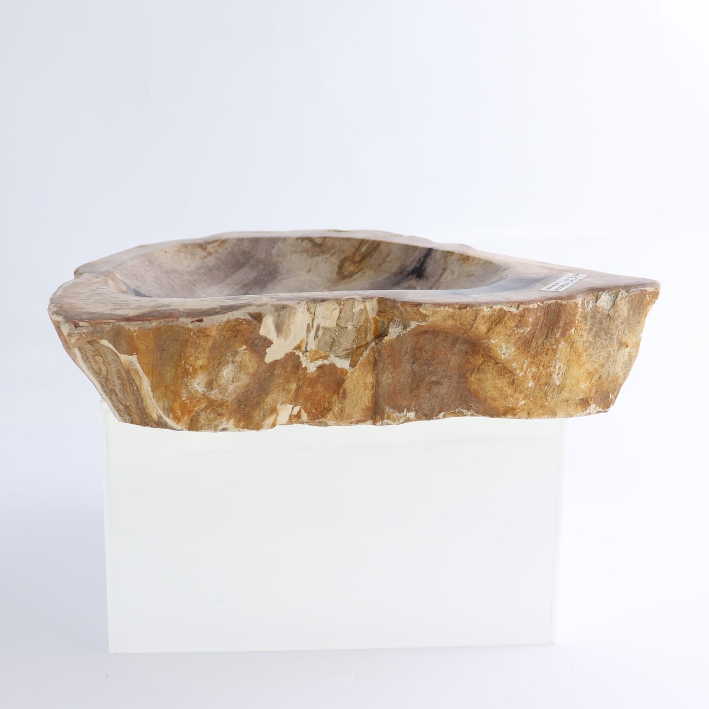One Petrified Wood Brown & Black Rough Bowl