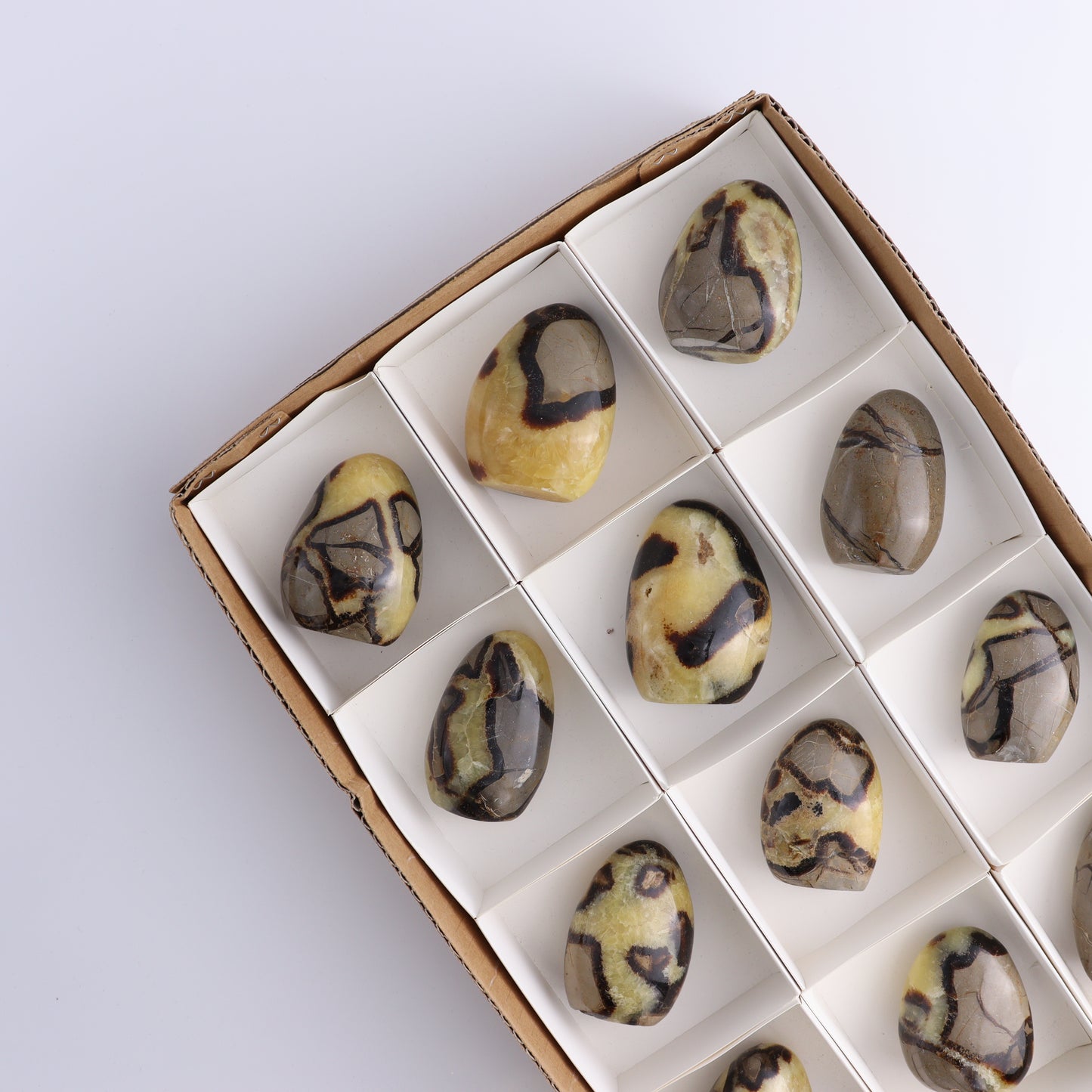 Septarian Freeforms Set of 12 - Expert Wholesale and Supplier of Wholesale Crystals & Bulk Gemstones, ["Freeforms","Madagascar","Septarian"]