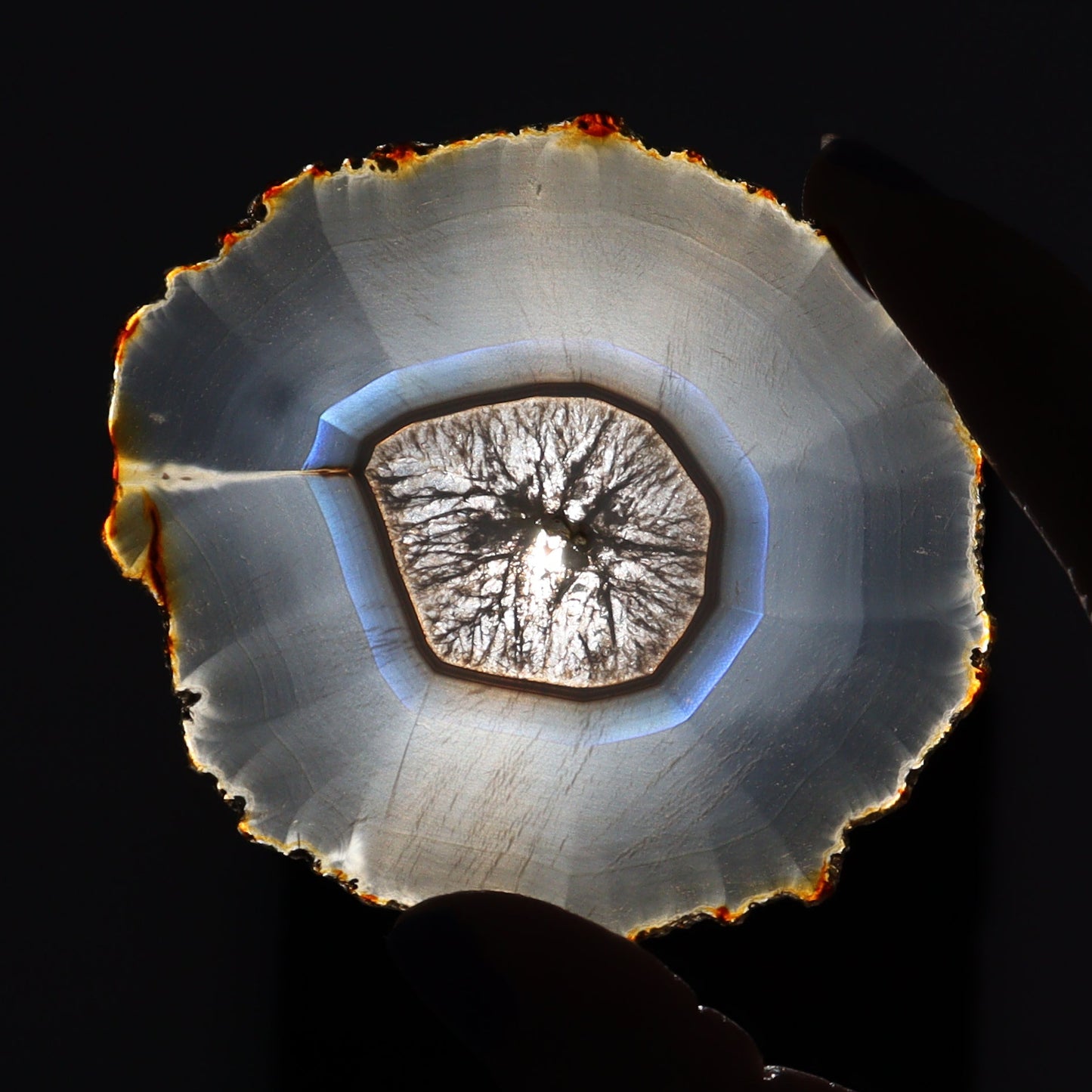 Iris Agate Slices Set of 6 - Expert Wholesale and Supplier of Wholesale Crystals & Bulk Gemstones, ["Agate","Iris Agate","Slices and Slabs"]