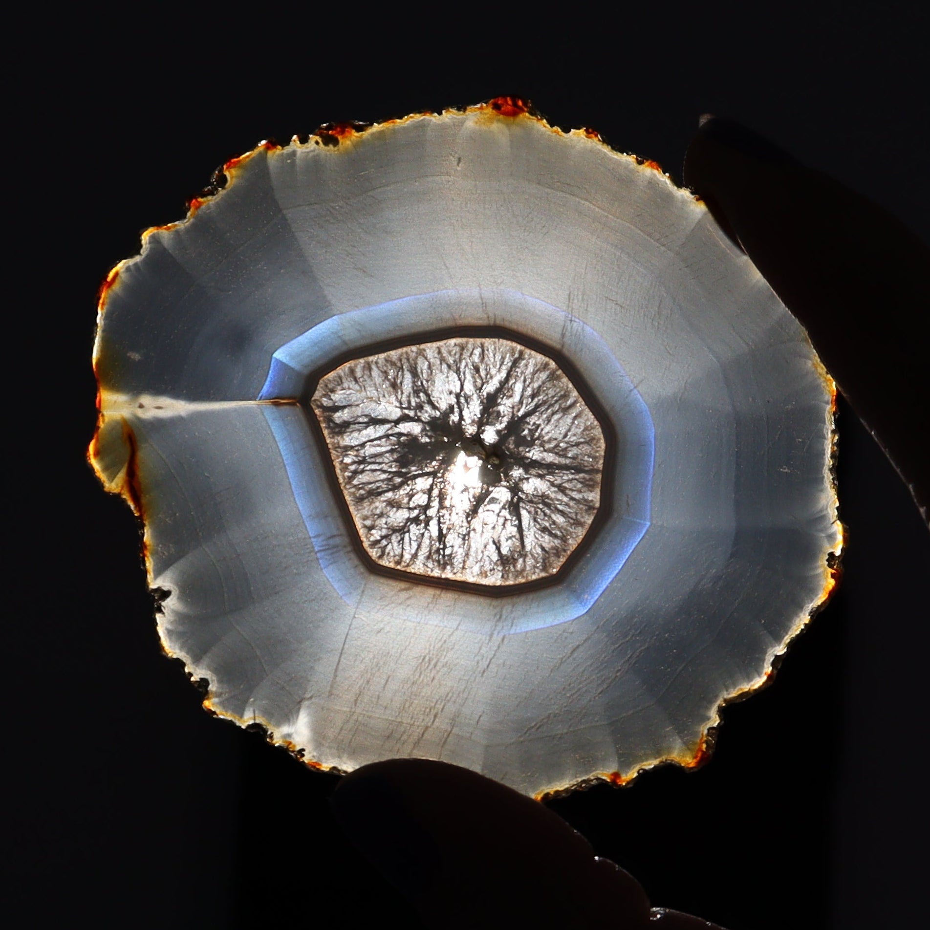 Iris Agate Slices Set of 6 - Expert Wholesale and Supplier of Wholesale Crystals & Bulk Gemstones, ["Agate","Iris Agate","Slices and Slabs"]