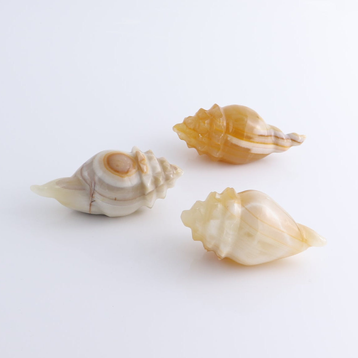 One Mexican Onyx/Calcite Shell Cut Base Beige/Honey