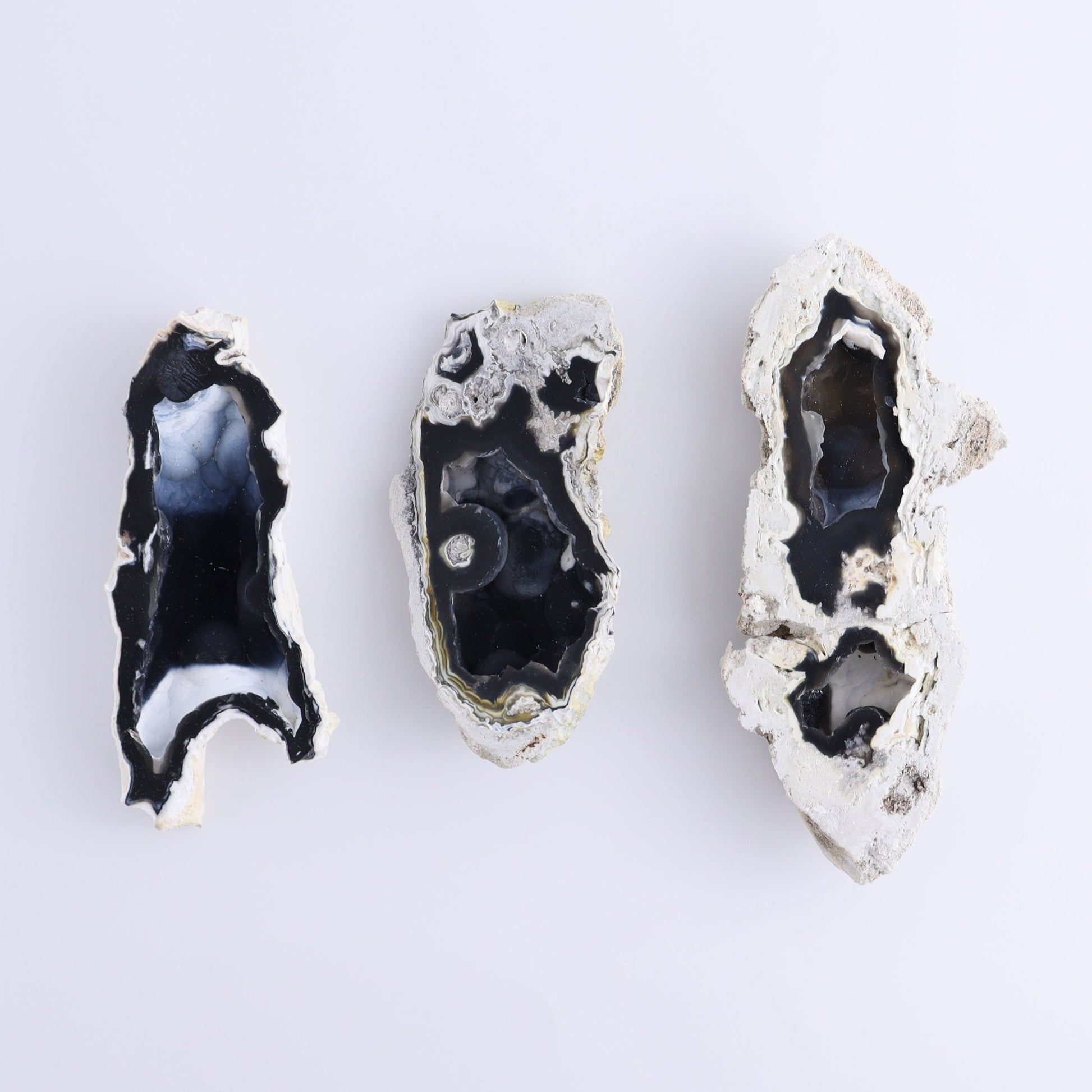Agatized Coral Flat - Expert Wholesale and Supplier of Wholesale Crystals & Bulk Gemstones, ["Agate","Agatized Coral","Coral","United States"]