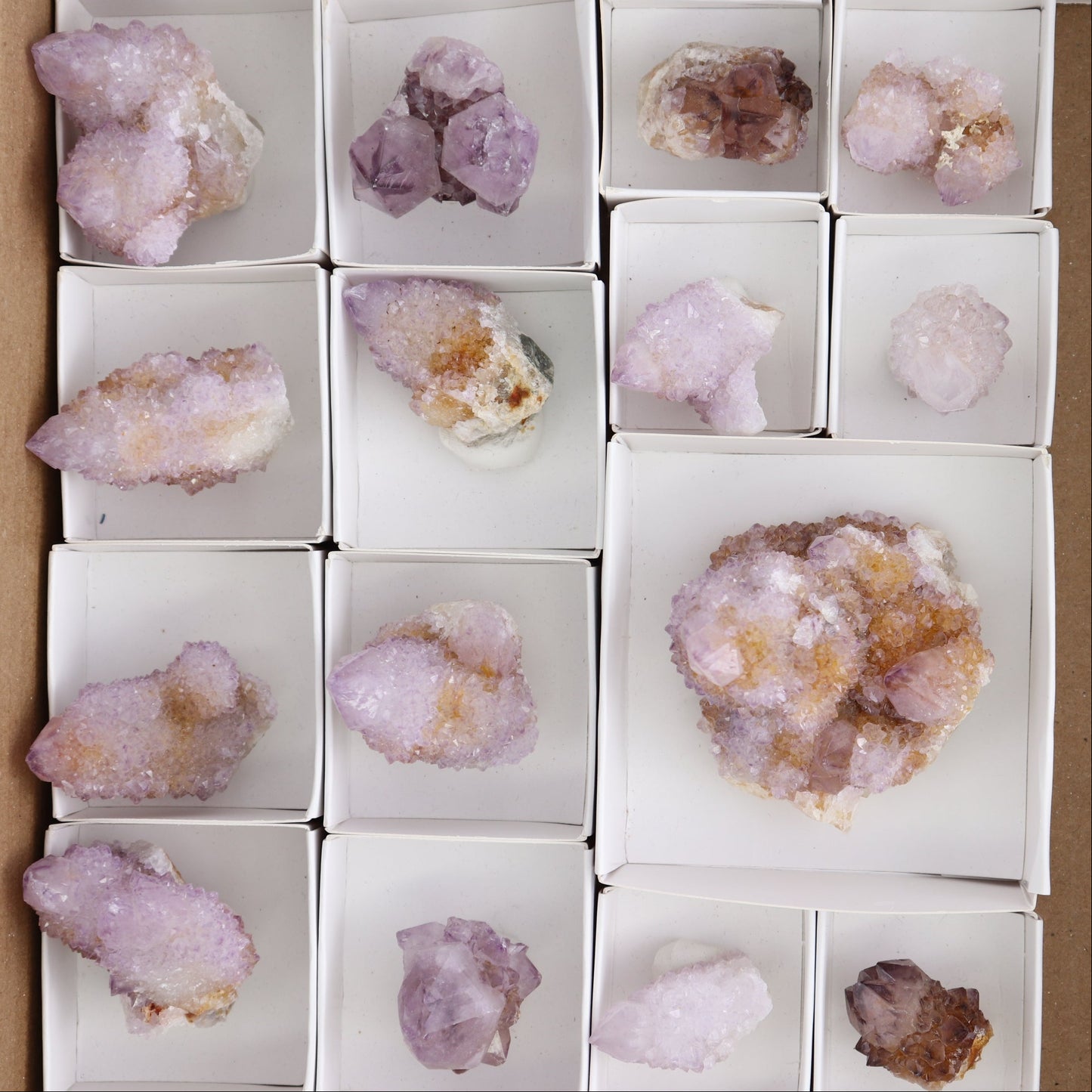 Cactus Quartz Set of 19