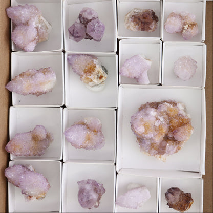 Cactus Quartz Set of 19