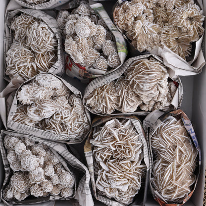 Desert Rose Set of 11 - Expert Wholesale and Supplier of Wholesale Crystals & Bulk Gemstones, ["Desert Rose","Freeforms","Morocco"]