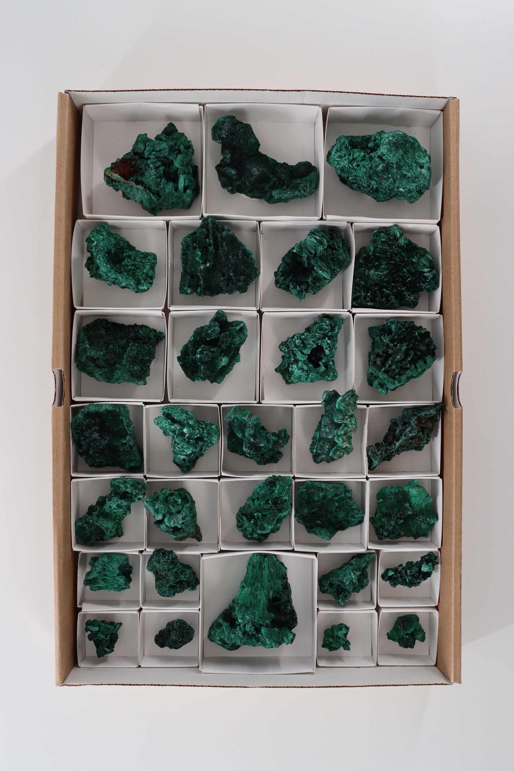 Malachite Flat - Expert Supplier of Wholesale Crystals & Bulk Gemstones