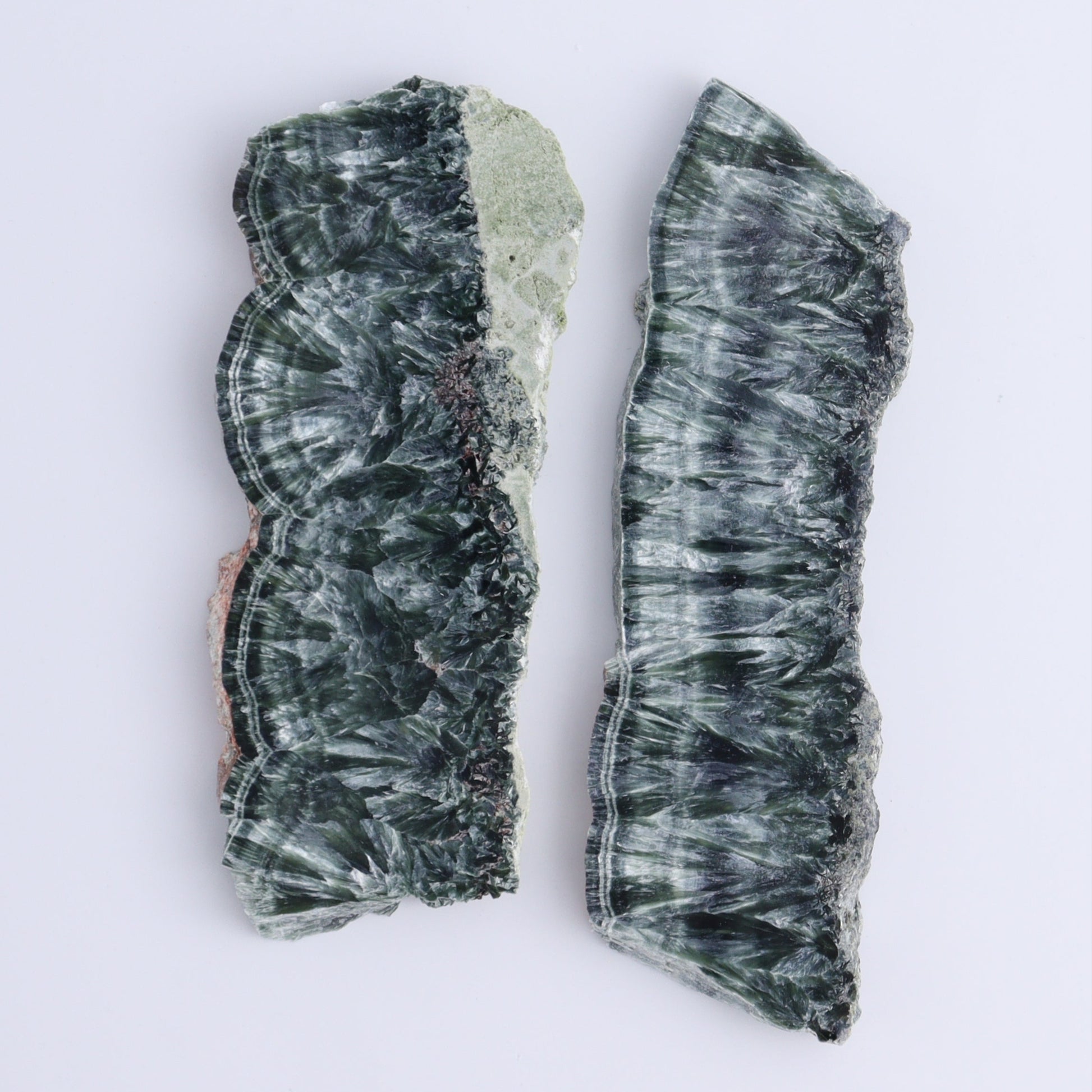 Seraphinite Slices Set of 6 - Expert Wholesale and Supplier of Wholesale Crystals & Bulk Gemstones, ["Seraphinite","Slices and Slabs"]