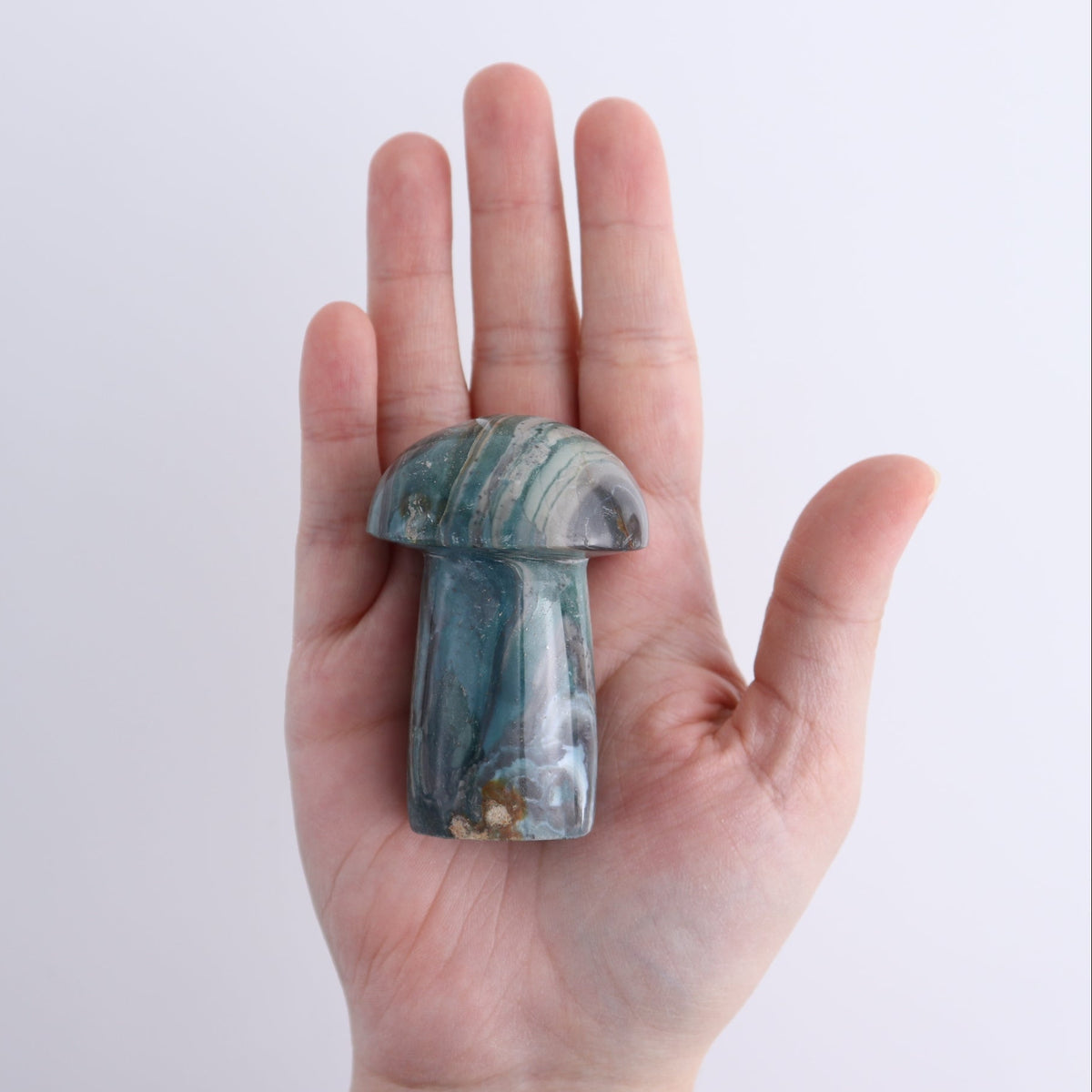 Jasper Mushrooms Set of 8