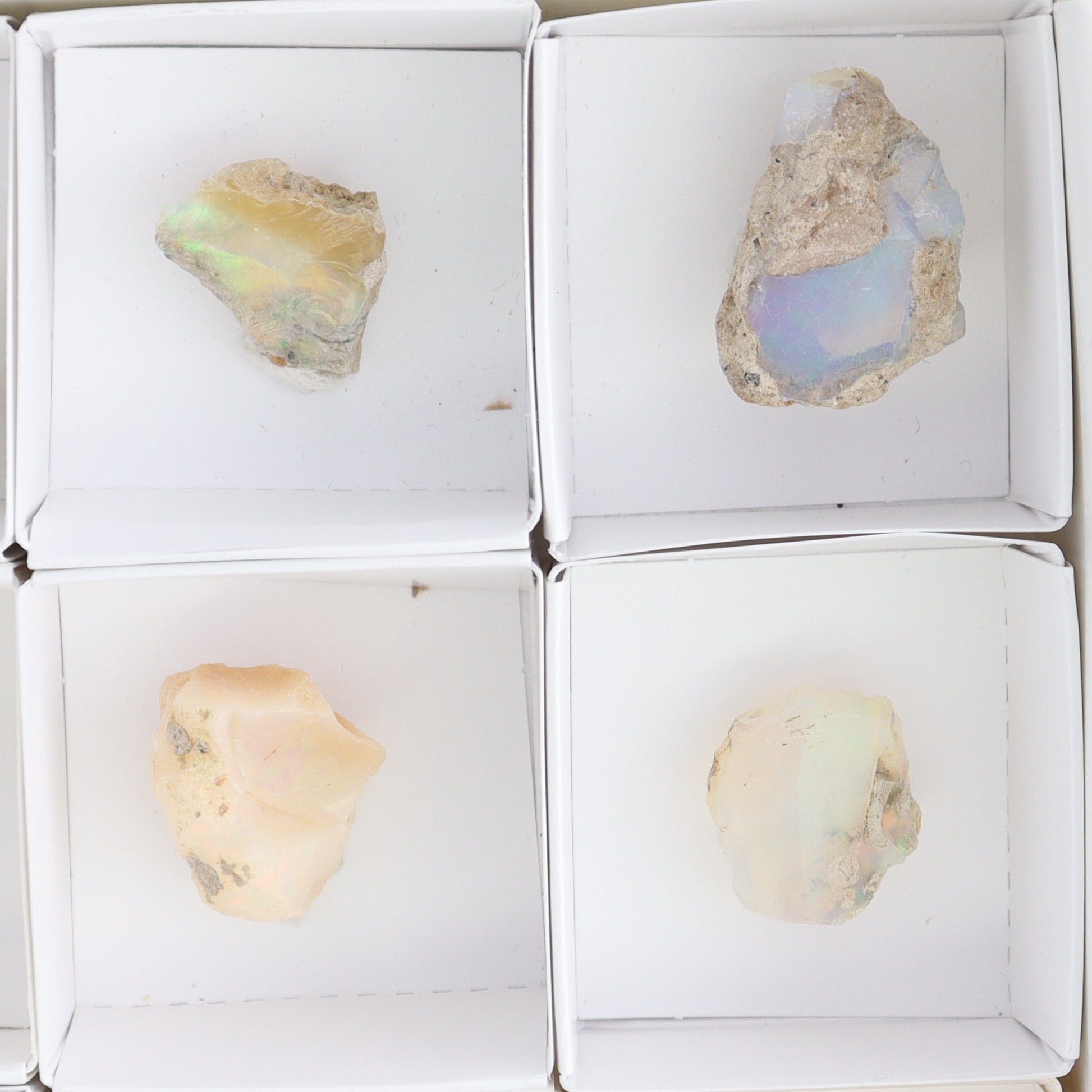 Ethiopian Opal Set of 10 - Expert Wholesale and Supplier of Wholesale Crystals & Bulk Gemstones, ["Ethiopia","ethiopian opal","Opal"]