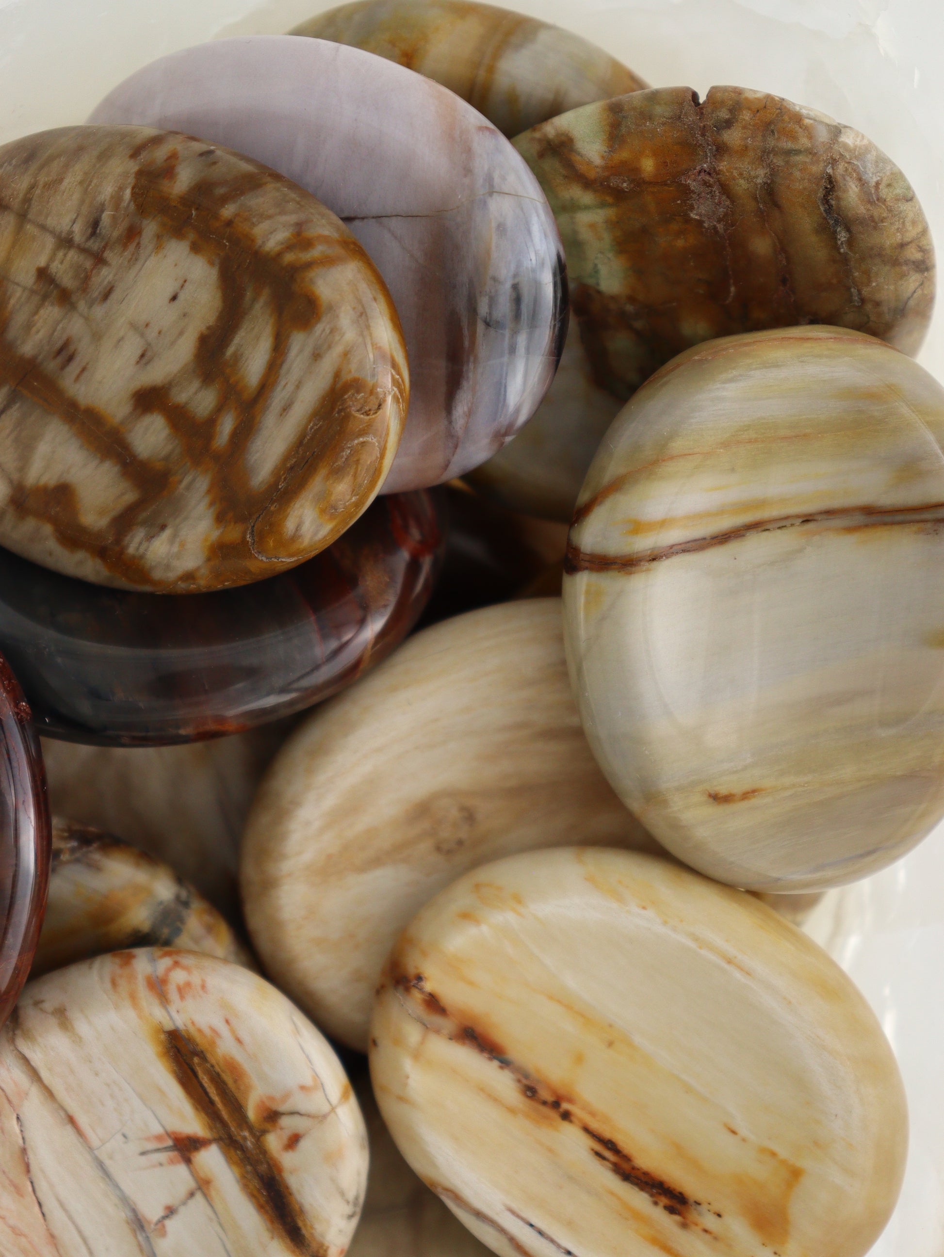 1/2kg Petrified Wood Worry Stones - Expert Supplier of Wholesale Crystals & Bulk Gemstones