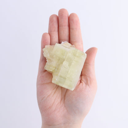 Apophyllite Clusters Flat of 6 - Expert Wholesale and Supplier of Wholesale Crystals & Bulk Gemstones, ["Apophyllite","Clusters","Flats"]