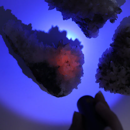 UV Reactive Calcite Flat Set of 8 - Expert Wholesale and Supplier of Wholesale Crystals & Bulk Gemstones, ["Calcite","Freeform","Freeforms","Mexico"]