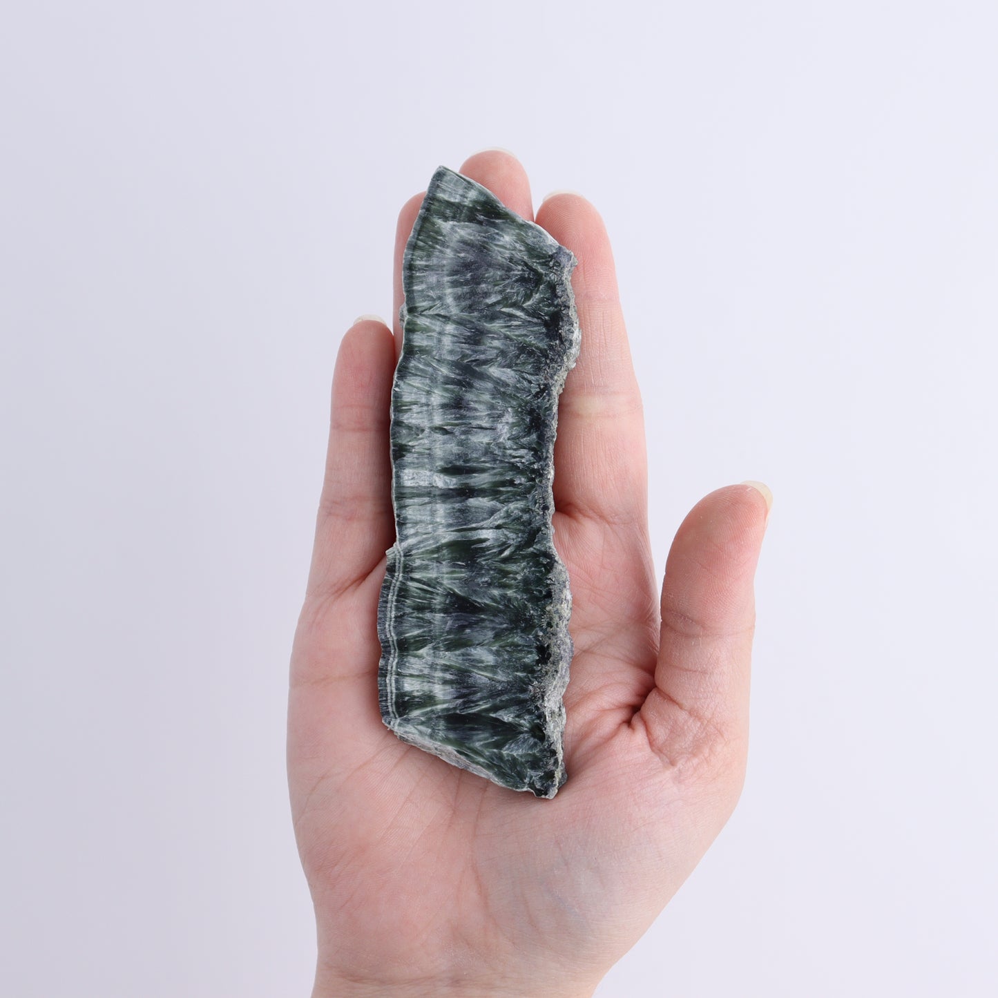 Seraphinite Slices Set of 6 - Expert Wholesale and Supplier of Wholesale Crystals & Bulk Gemstones, ["Seraphinite","Slices and Slabs"]
