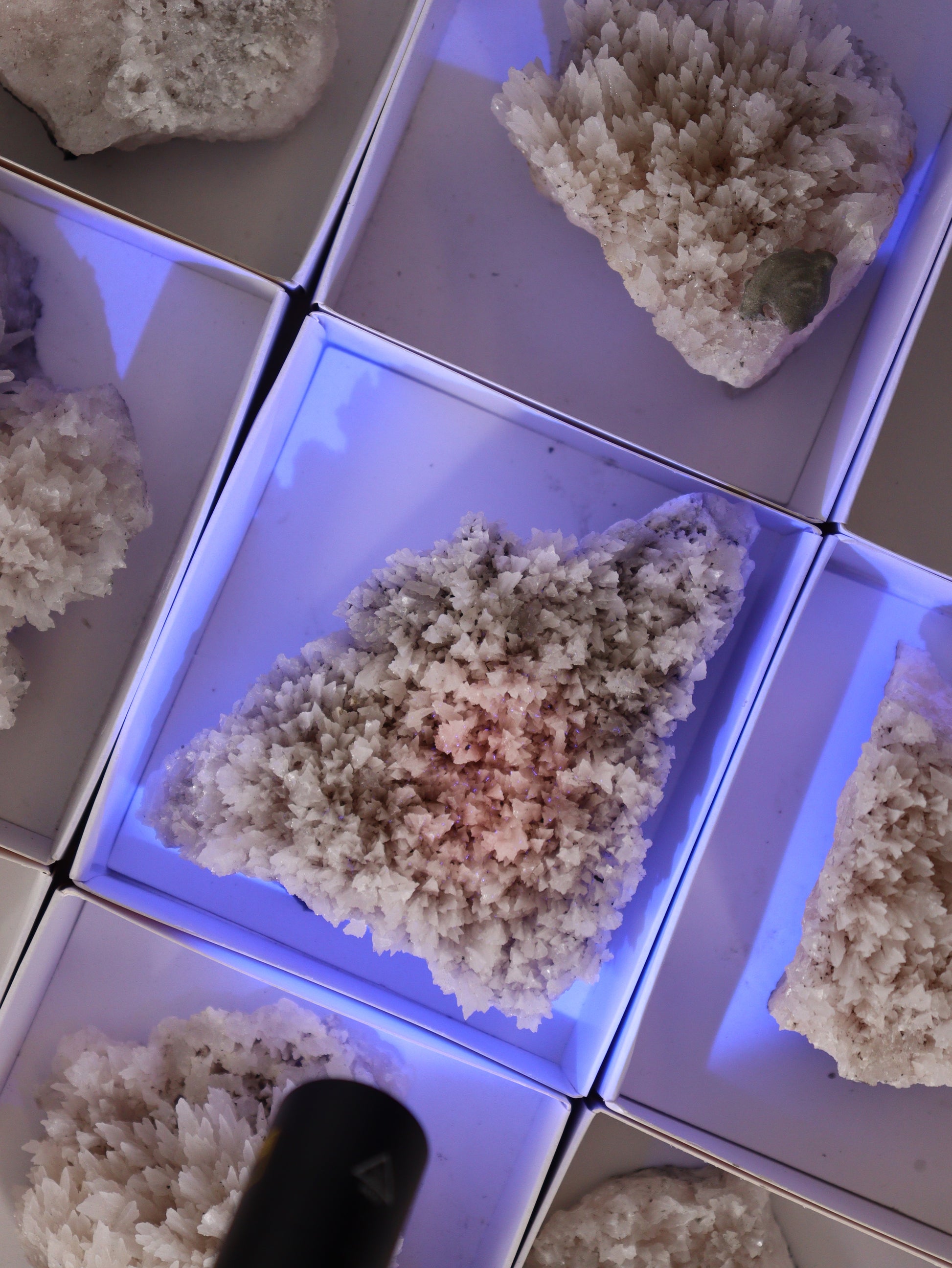 Mangano Calcite Flat Set of 12 - Expert Wholesale and Supplier of Wholesale Crystals & Bulk Gemstones, []