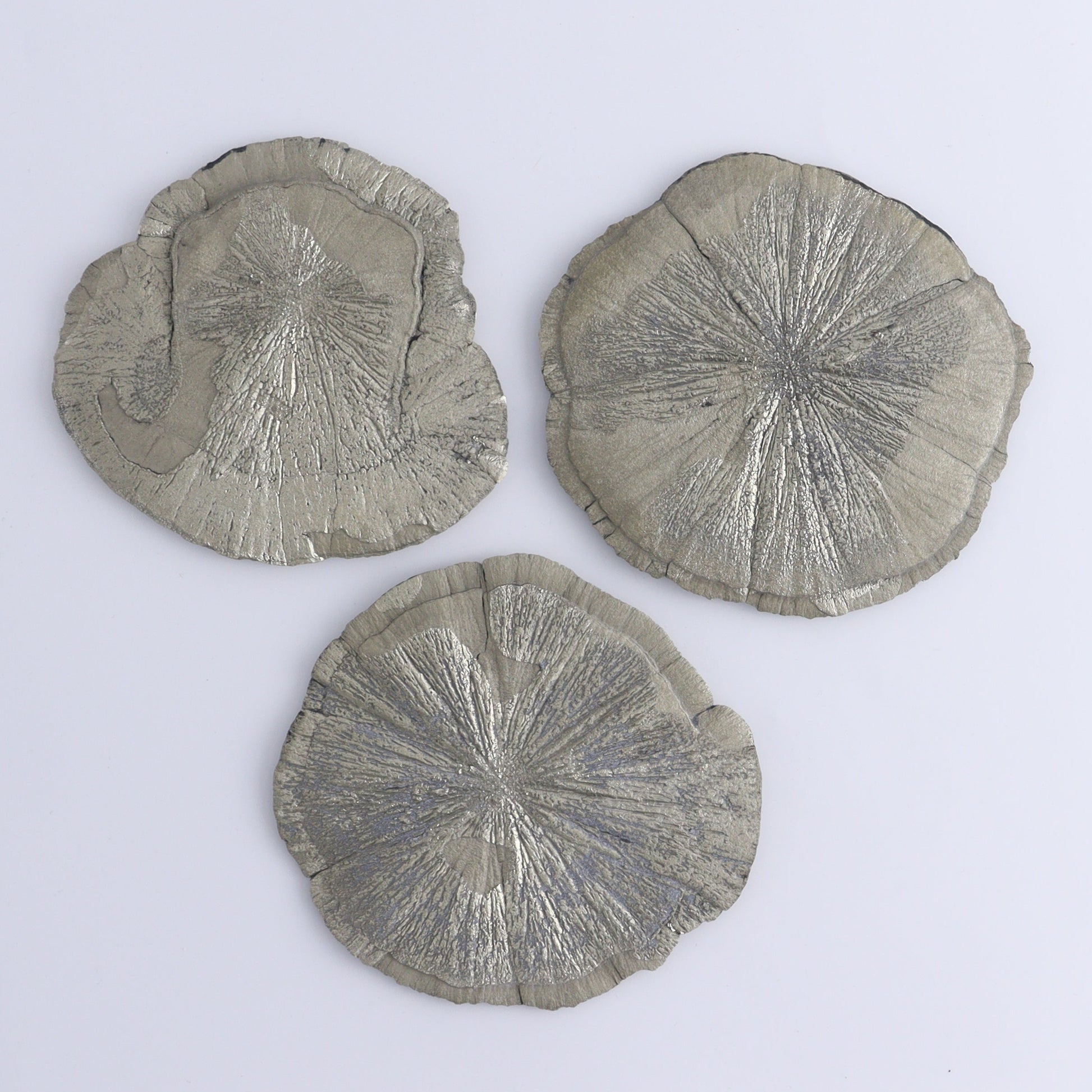Pyrite Suns Flat of 6 - Expert Wholesale and Supplier of Wholesale Crystals & Bulk Gemstones, ["Pyrite","Suns","United States"]