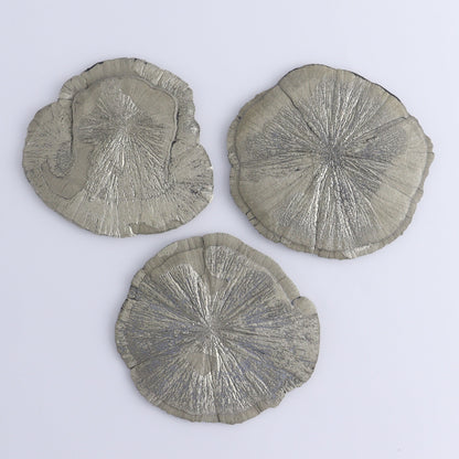 Pyrite Suns Flat of 6 - Expert Wholesale and Supplier of Wholesale Crystals & Bulk Gemstones, ["Pyrite","Suns","United States"]