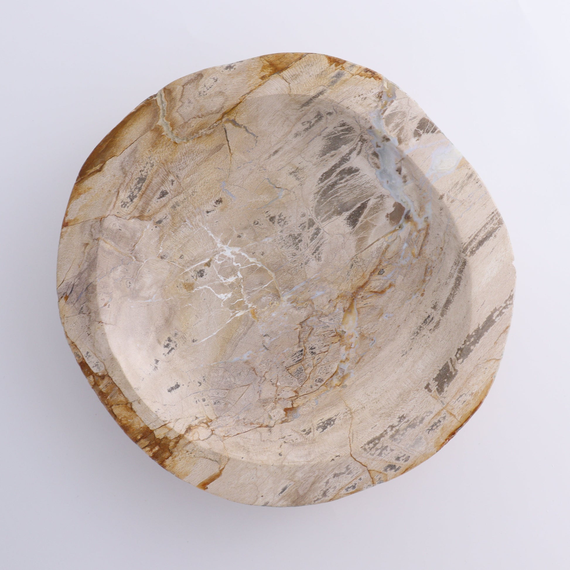 Petrified Wood Bowl - Expert Wholesale and Supplier of Wholesale Crystals & Bulk Gemstones, ["Bowls","Indonesia","Petrified Wood"]