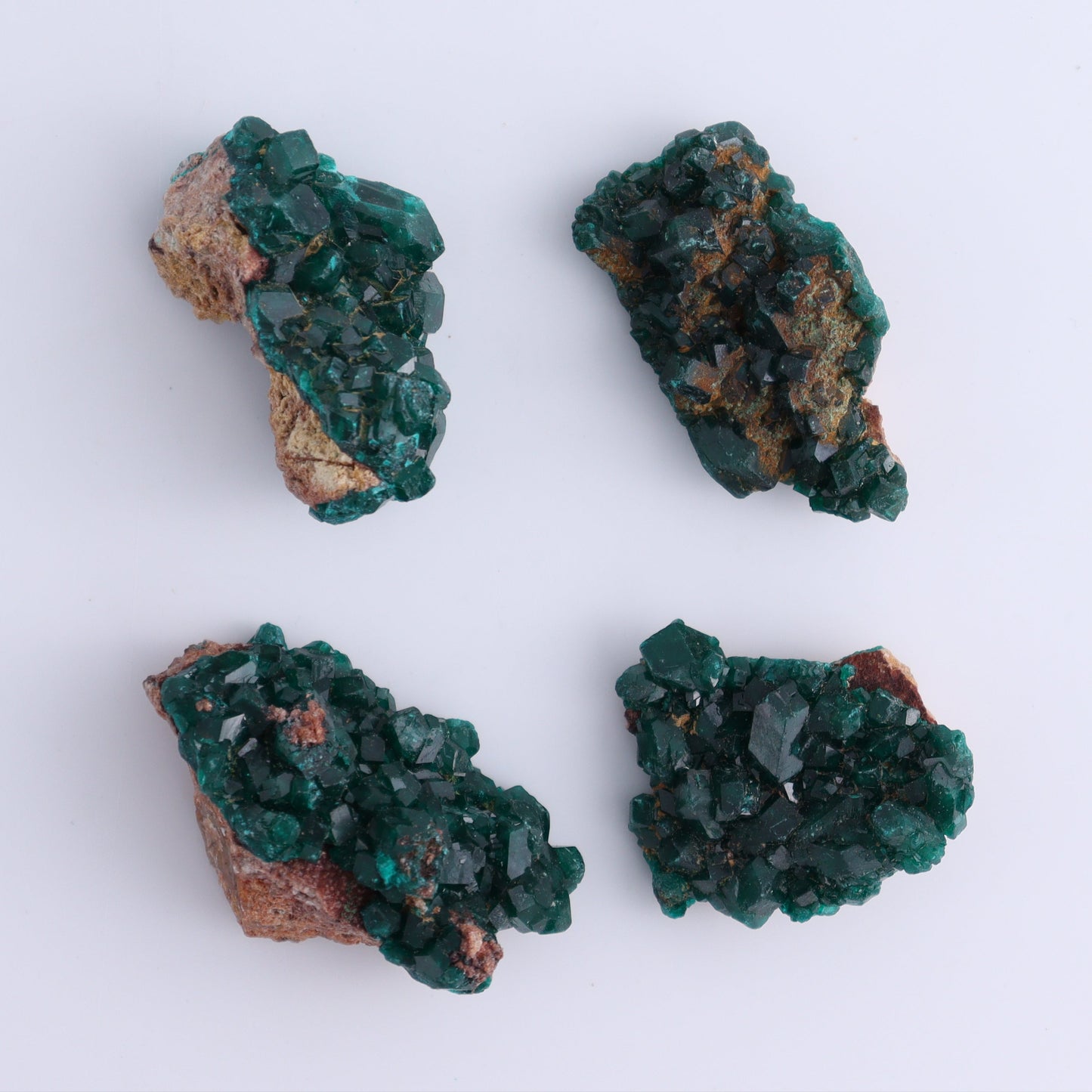 Dioptase Set of 12 - Expert Wholesale and Supplier of Wholesale Crystals & Bulk Gemstones, ["dioptase","Freeform","Freeforms"]