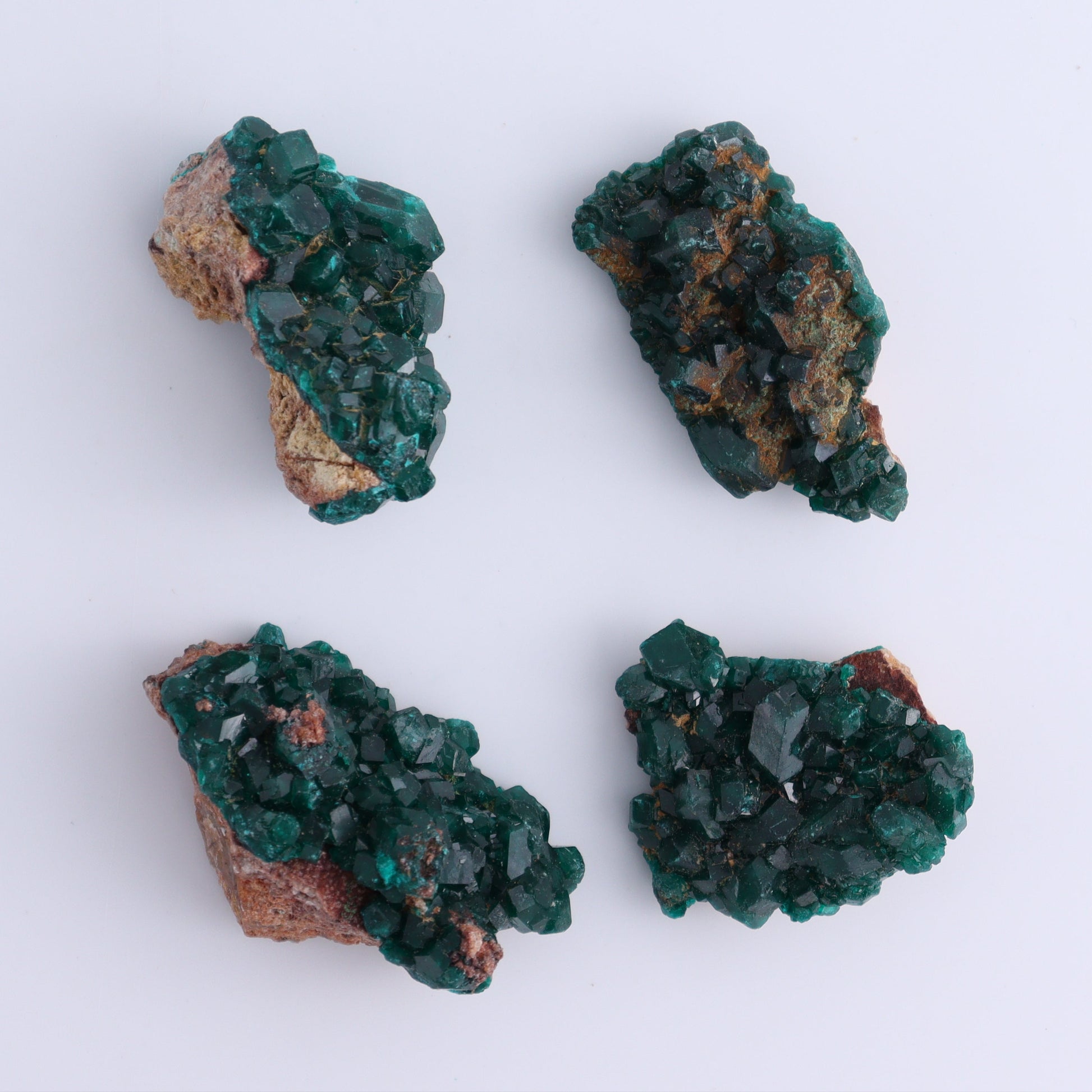 Dioptase Set of 12 - Expert Wholesale and Supplier of Wholesale Crystals & Bulk Gemstones, ["dioptase","Freeform","Freeforms"]