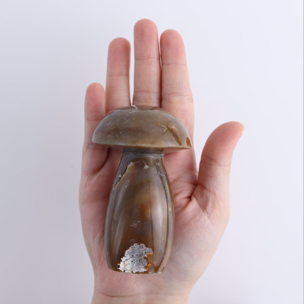 Jasper Mushrooms Set of 8