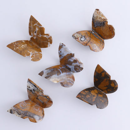 One Brecciated Jasper Butterfly - Expert Wholesale and Supplier of Wholesale Crystals & Bulk Gemstones, ["Brecciated Jasper","Butterflies","Butterfly","jasper"]