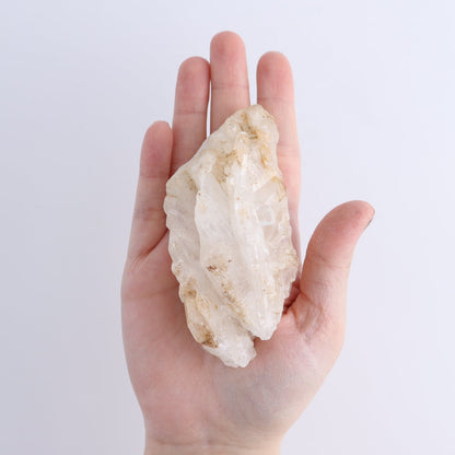 Fenster Quartz