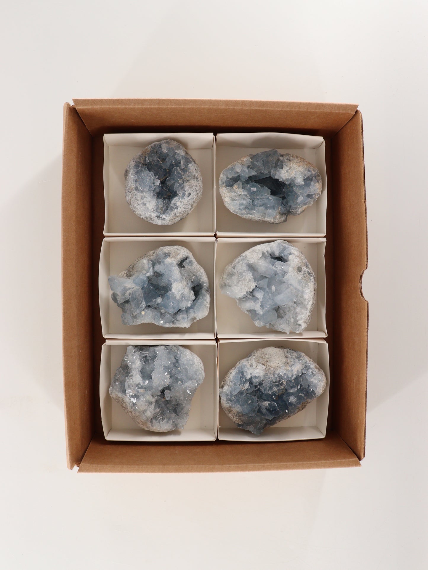 Celestite Clusters Set of 6 - Expert Wholesale and Supplier of Wholesale Crystals & Bulk Gemstones, []