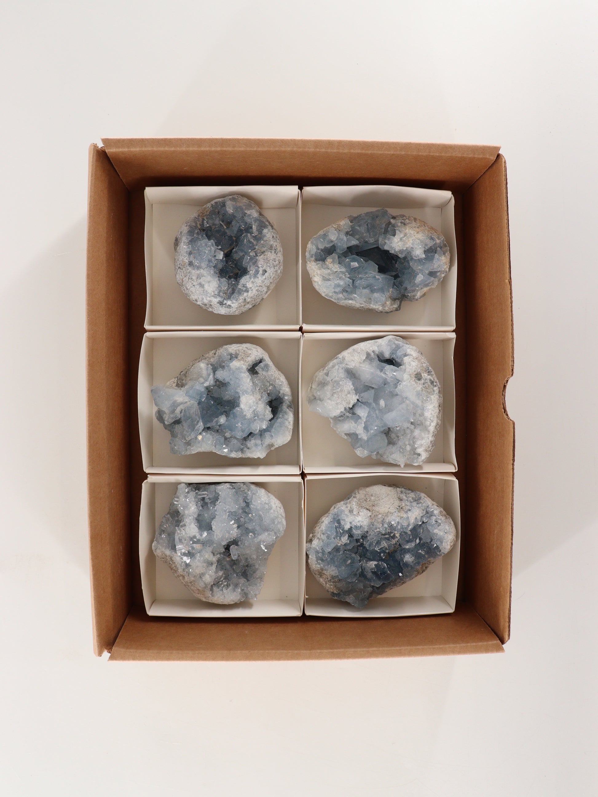Celestite Clusters Set of 6 - Expert Wholesale and Supplier of Wholesale Crystals & Bulk Gemstones, []